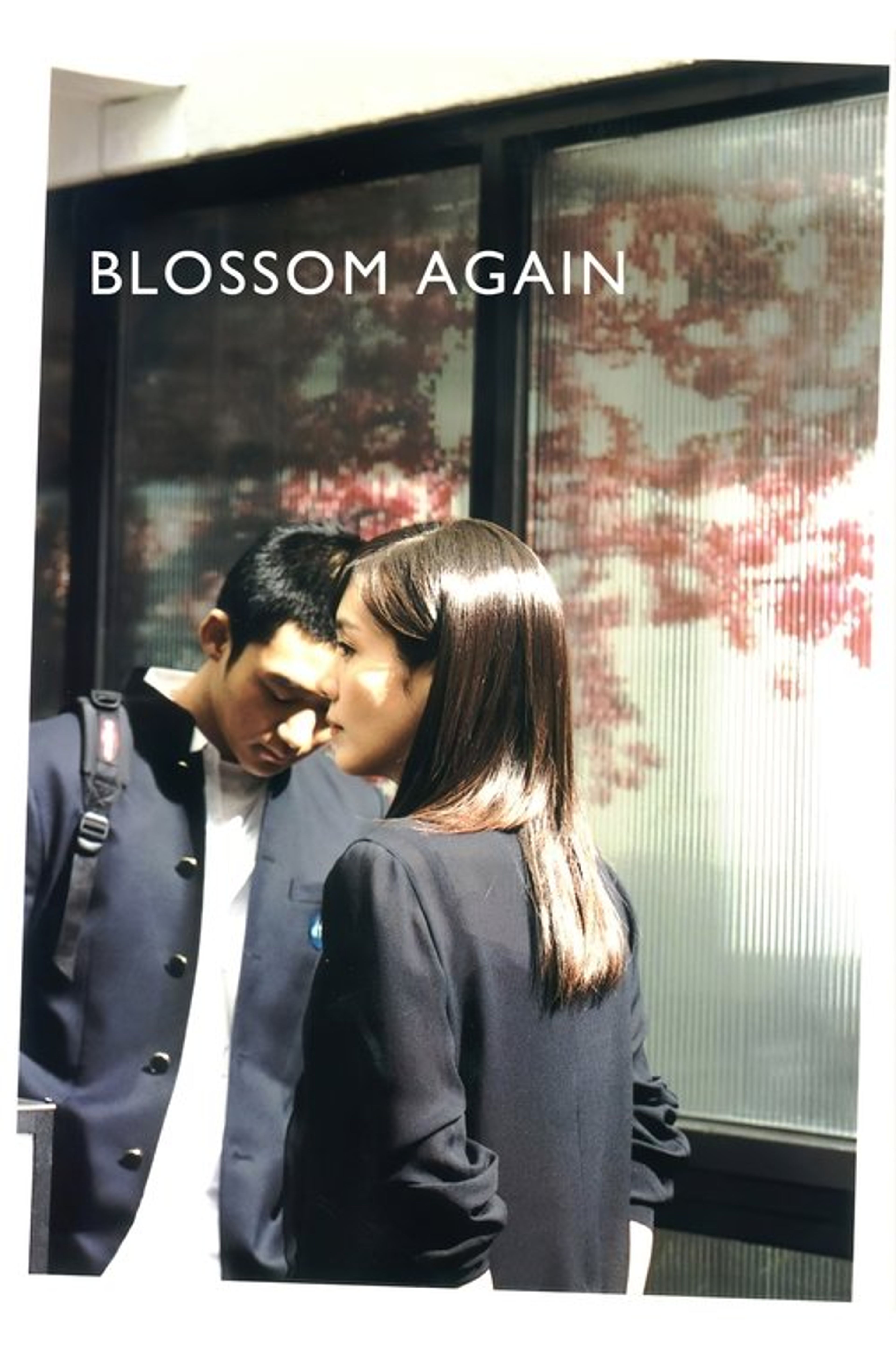 Poster image of Blossom Again