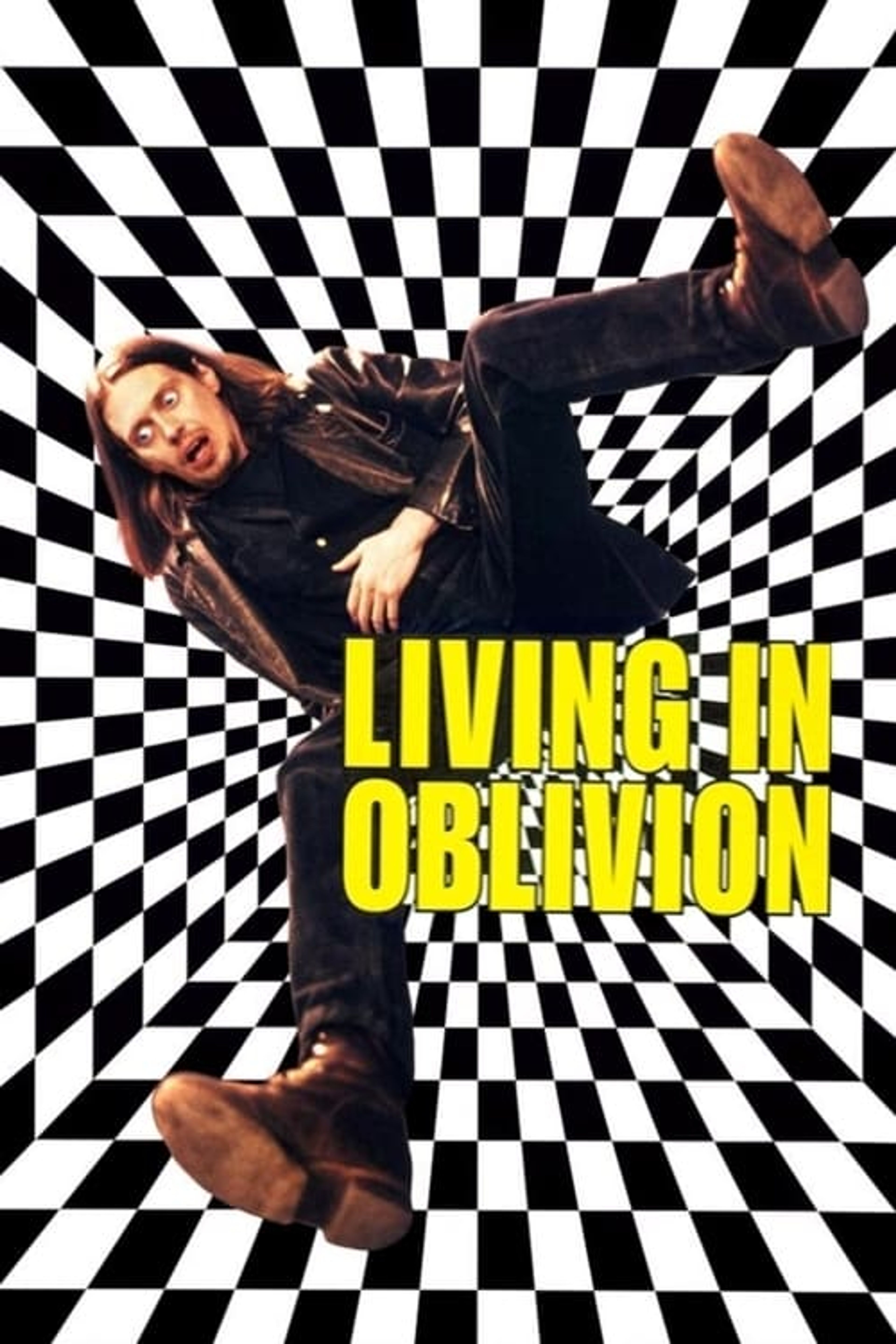 Poster image of Living in Oblivion