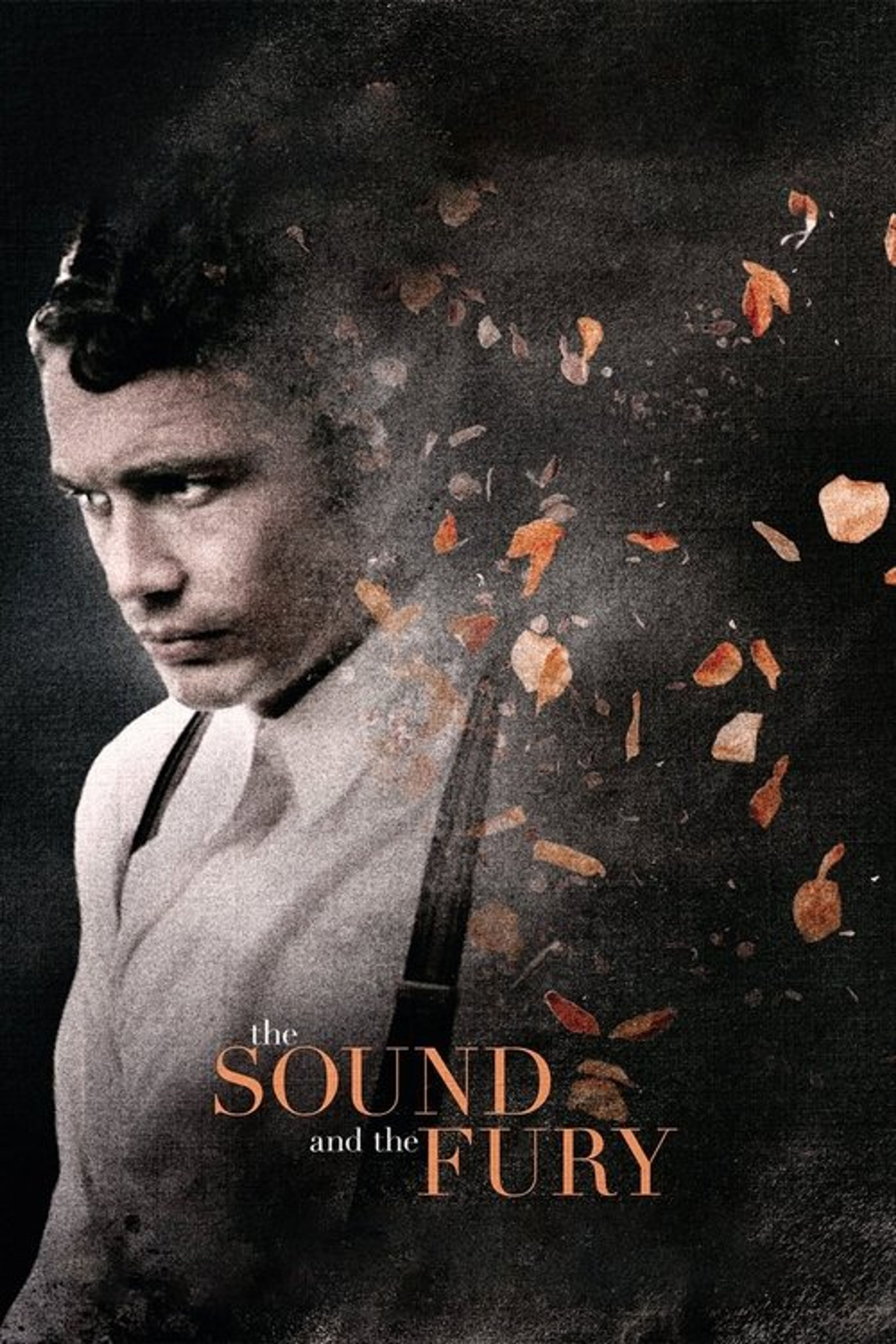 Poster image of The Sound and the Fury