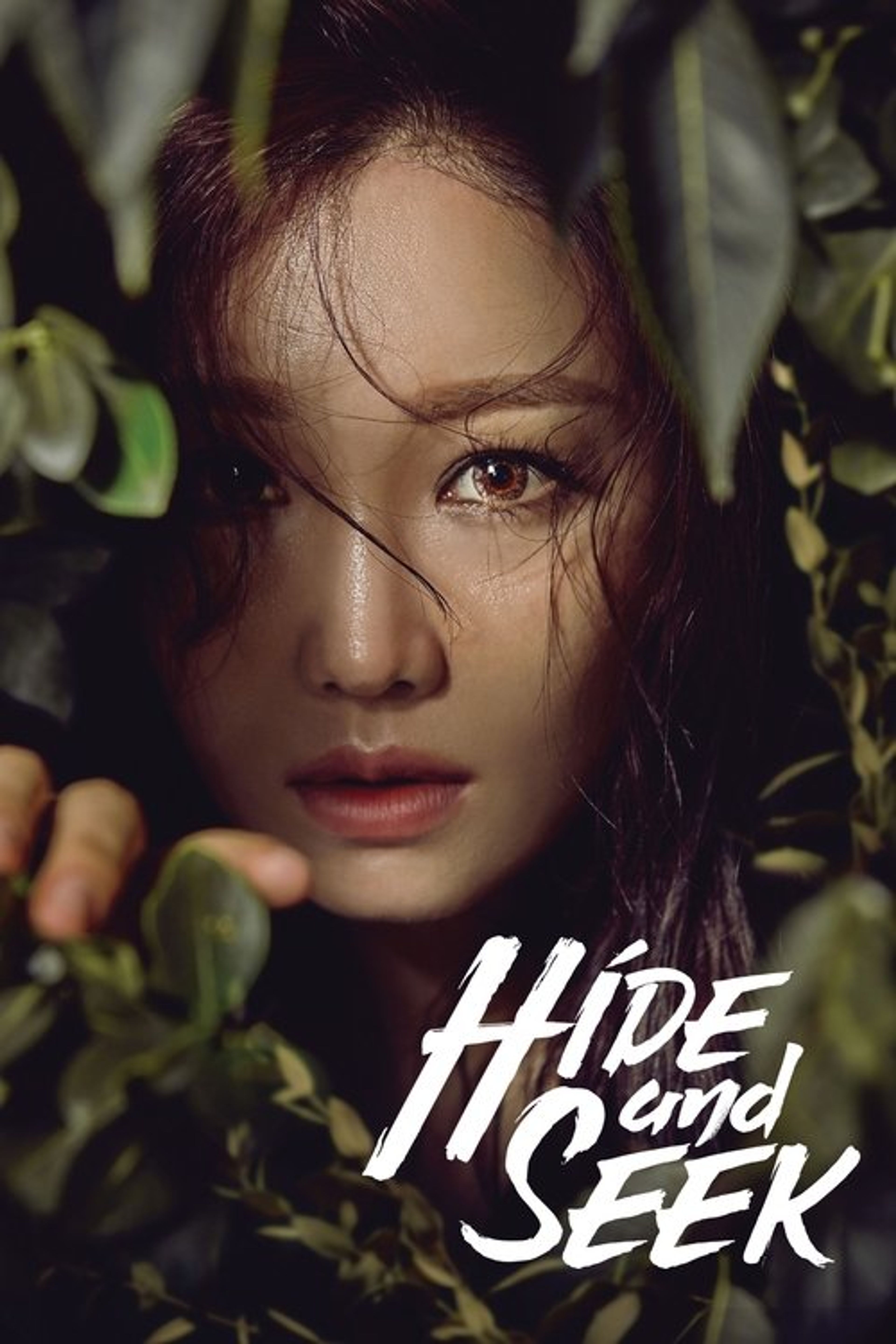 Poster image of Hide and Seek