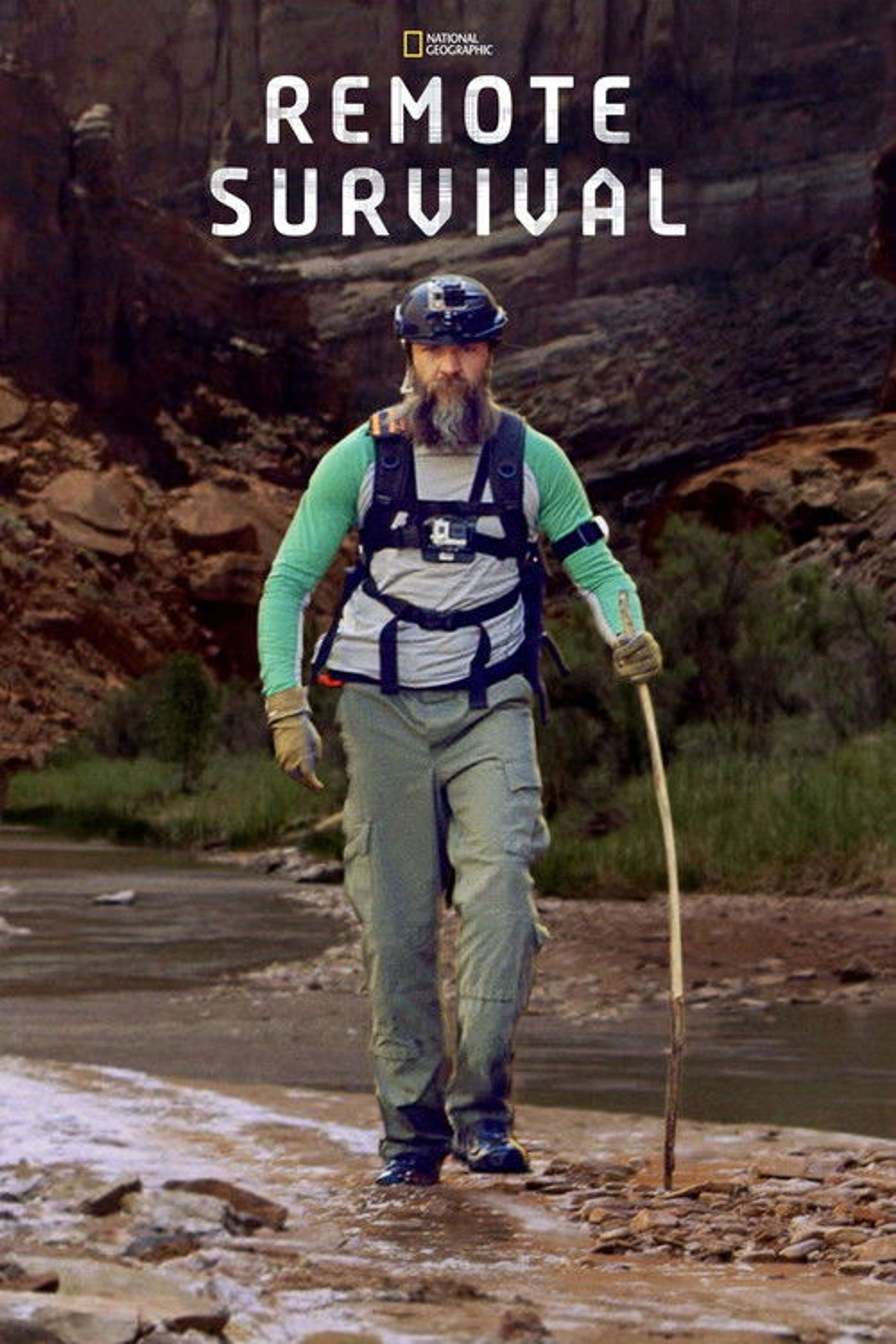 Poster image of Remote Survival