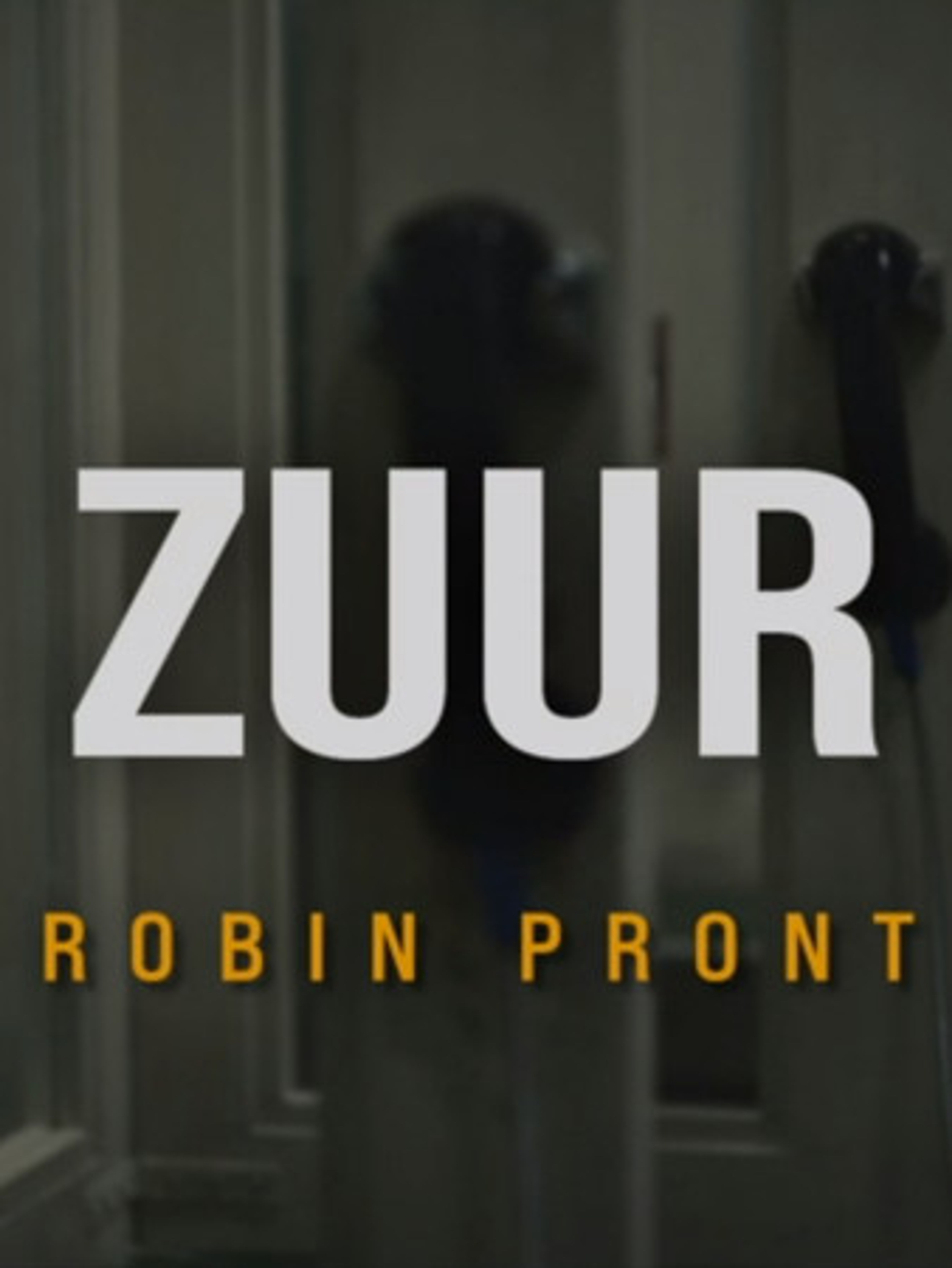 Poster image of Zuur
