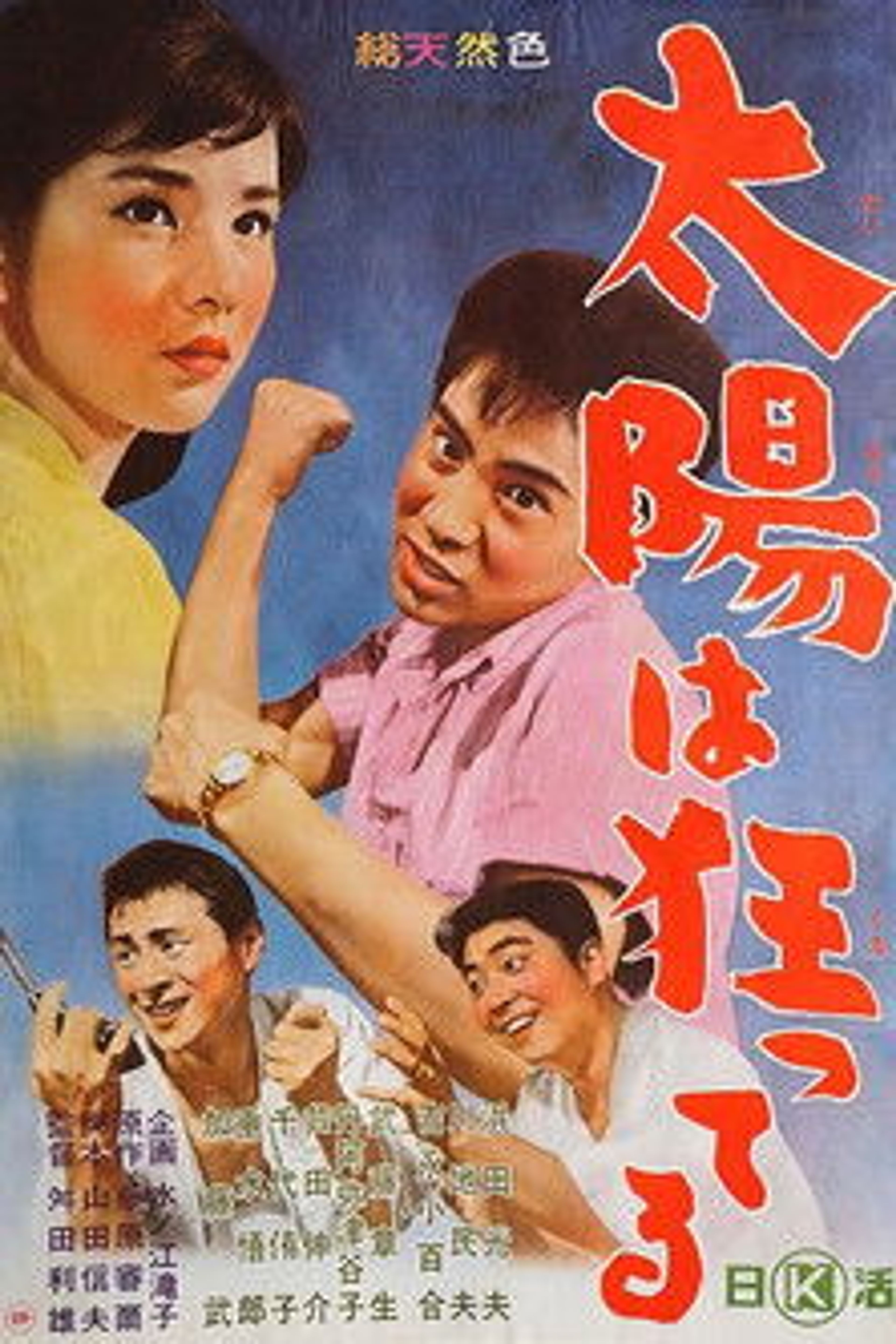 Poster image of Lost in the Sun
