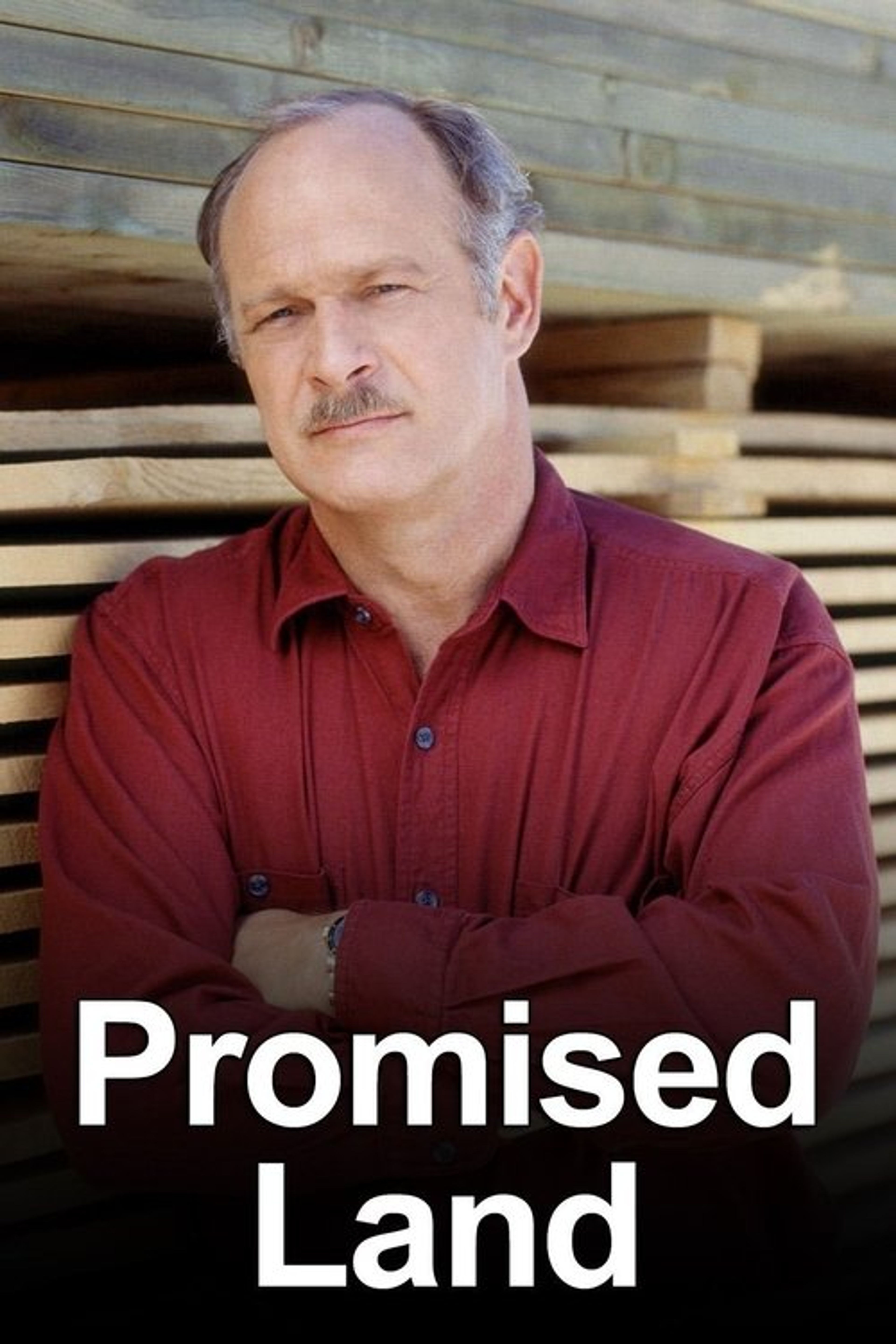 Poster image of Promised Land