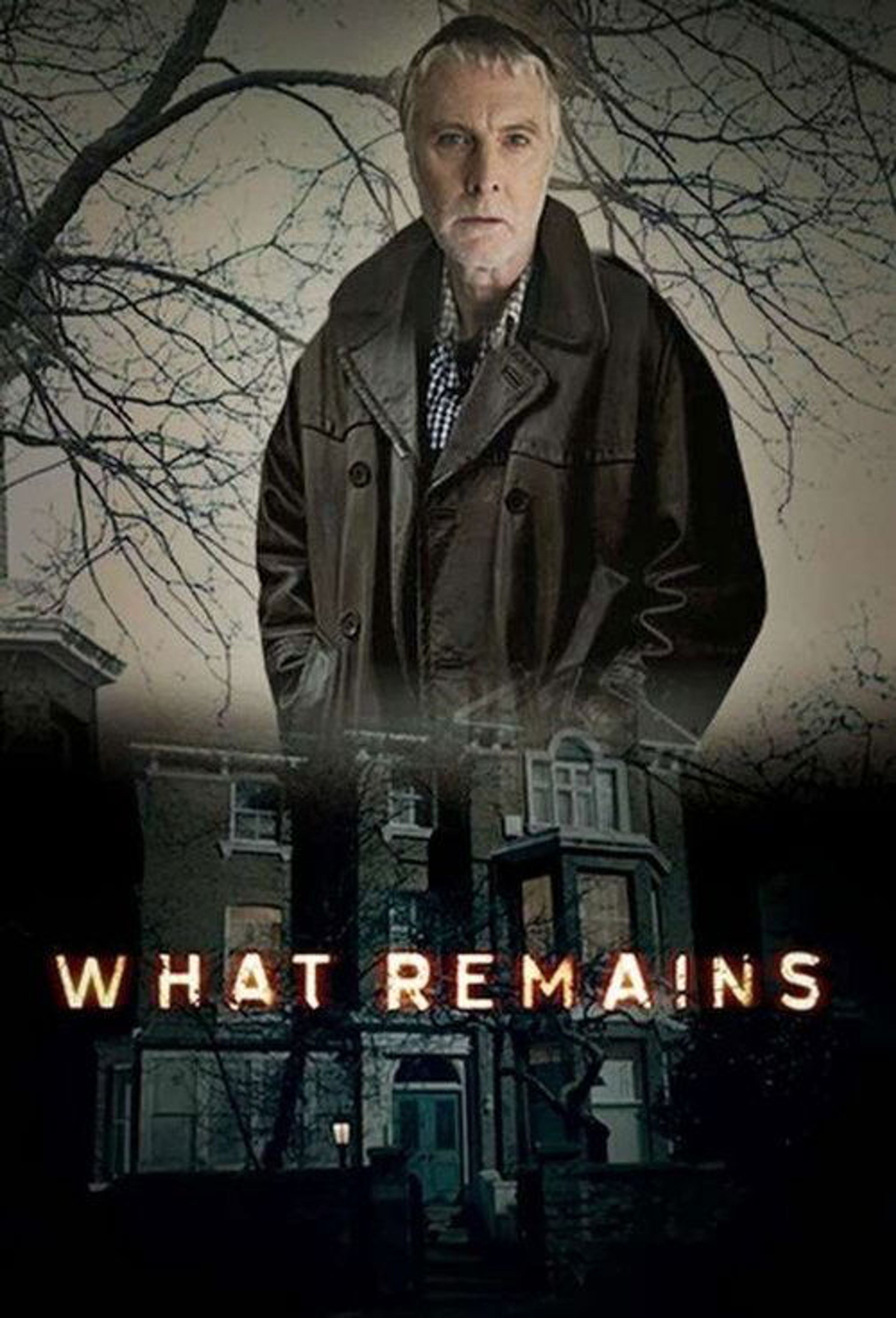 Poster image of What Remains