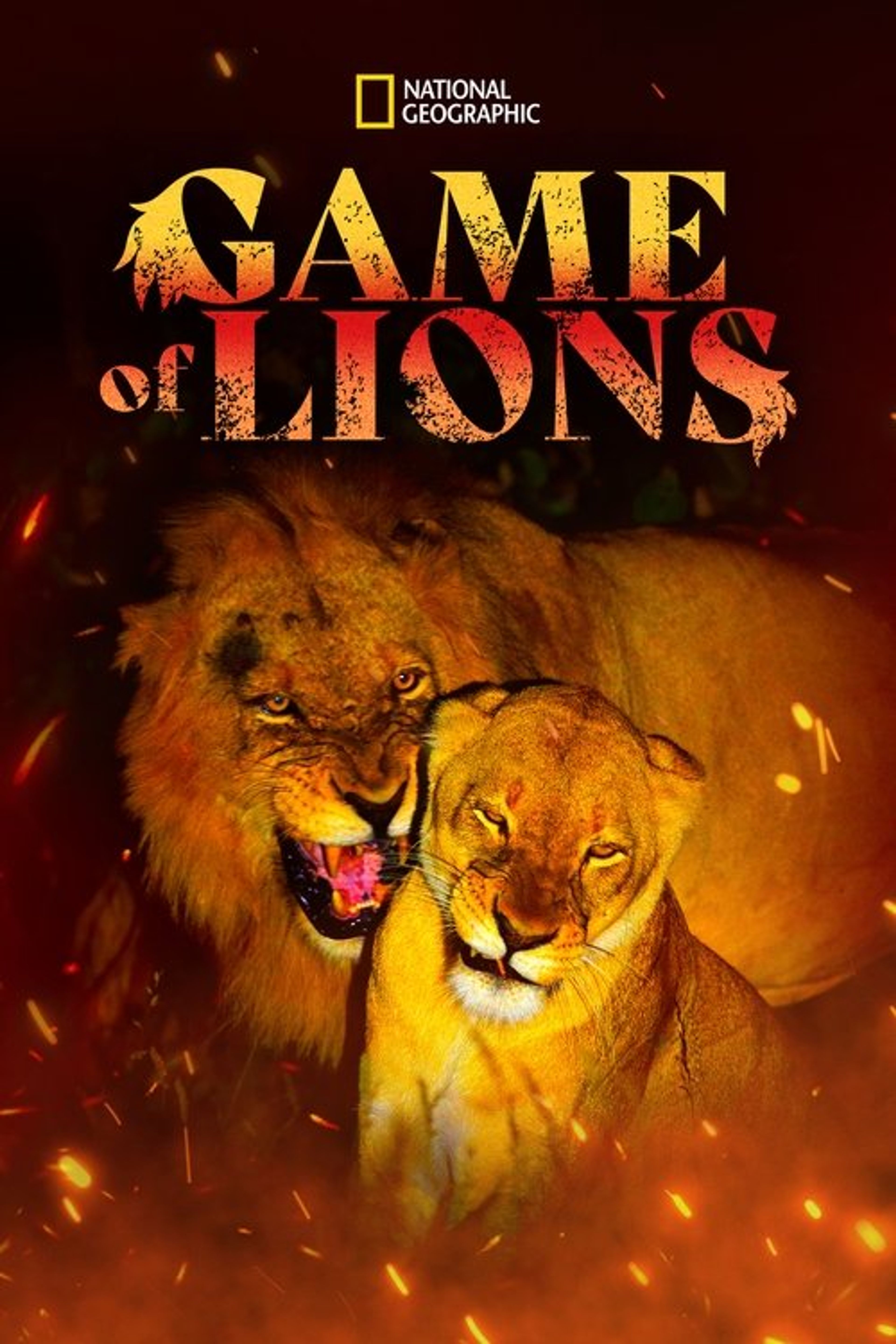 Poster image of Game of Lions