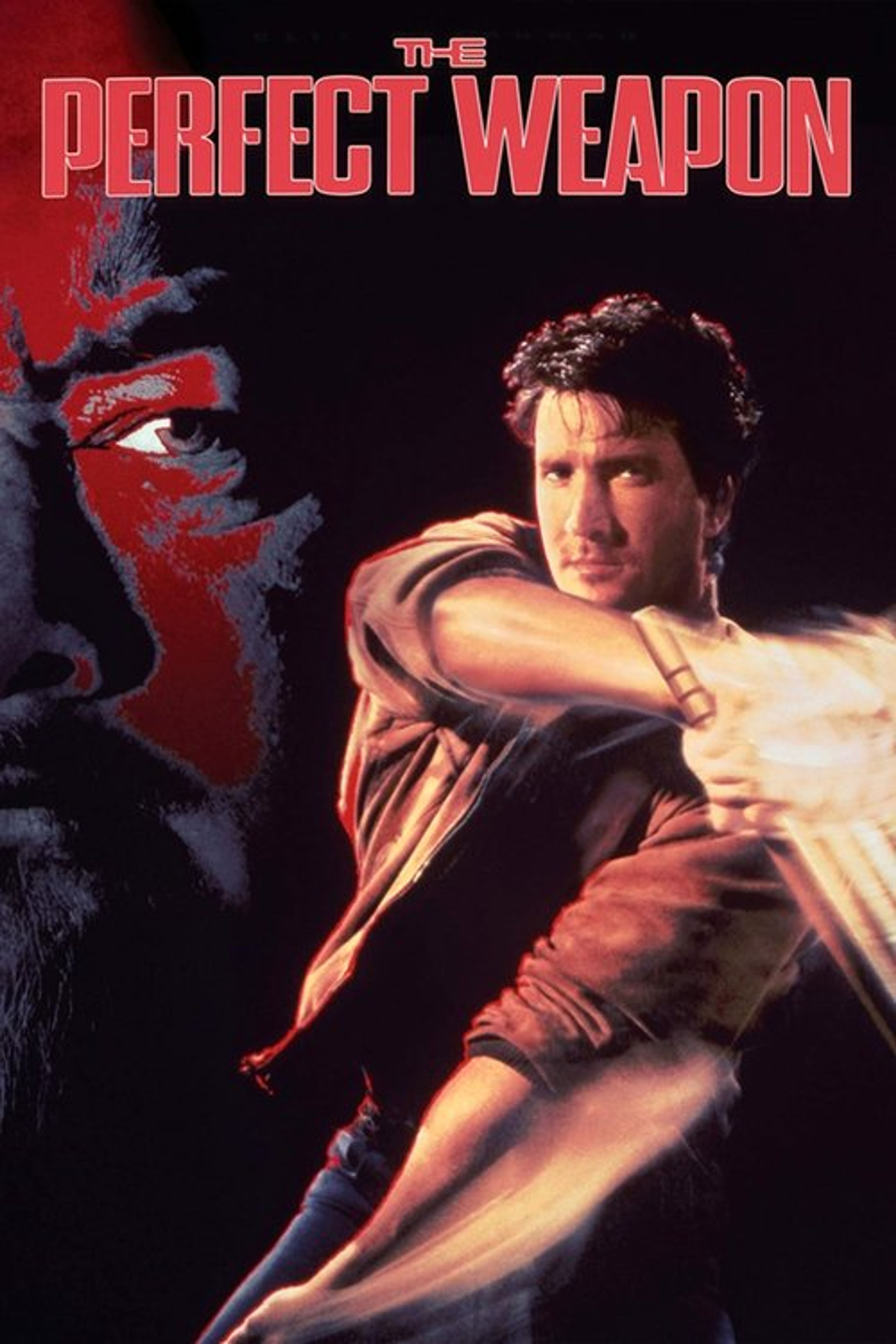 Poster image of The Perfect Weapon