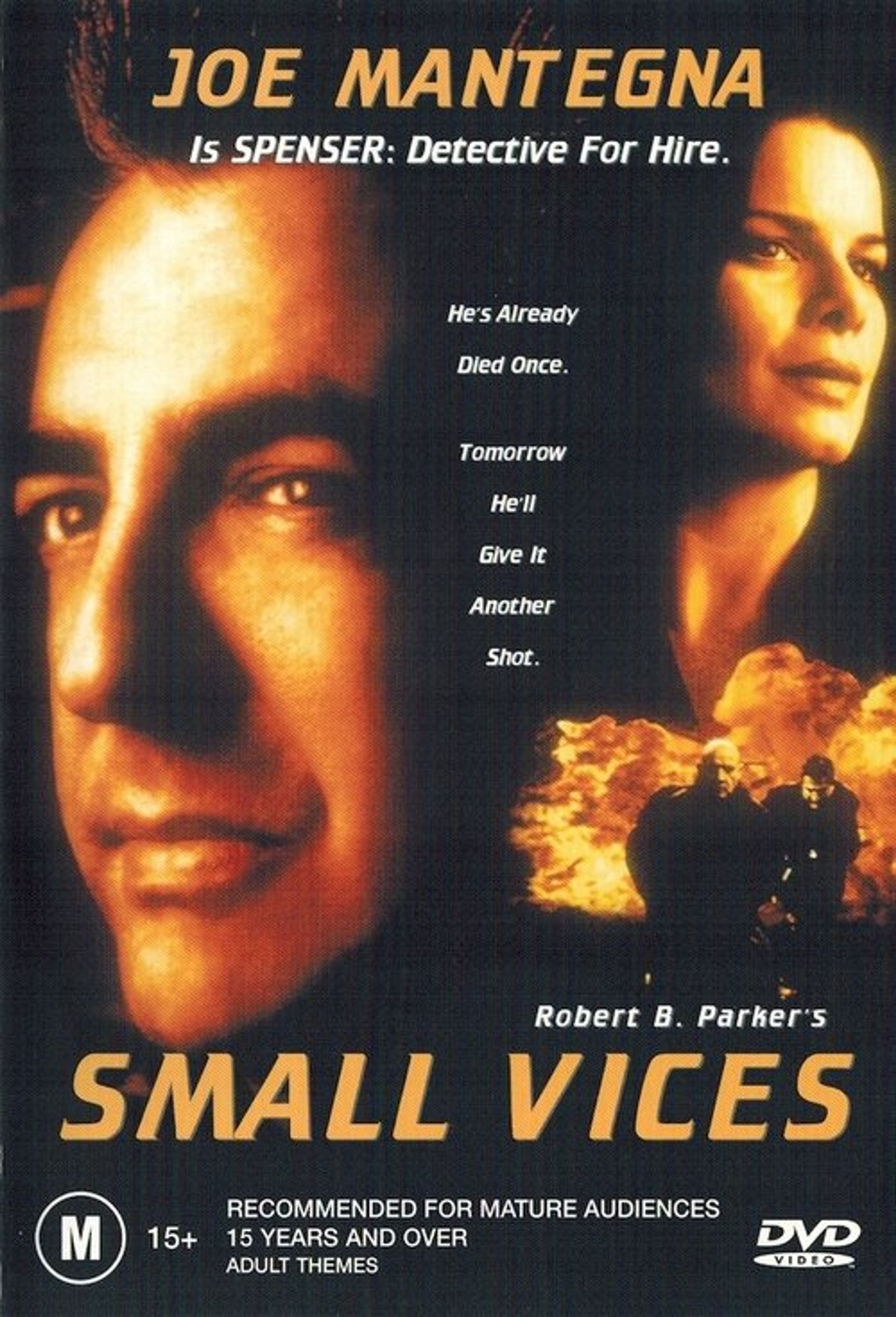 Poster image of Small Vices