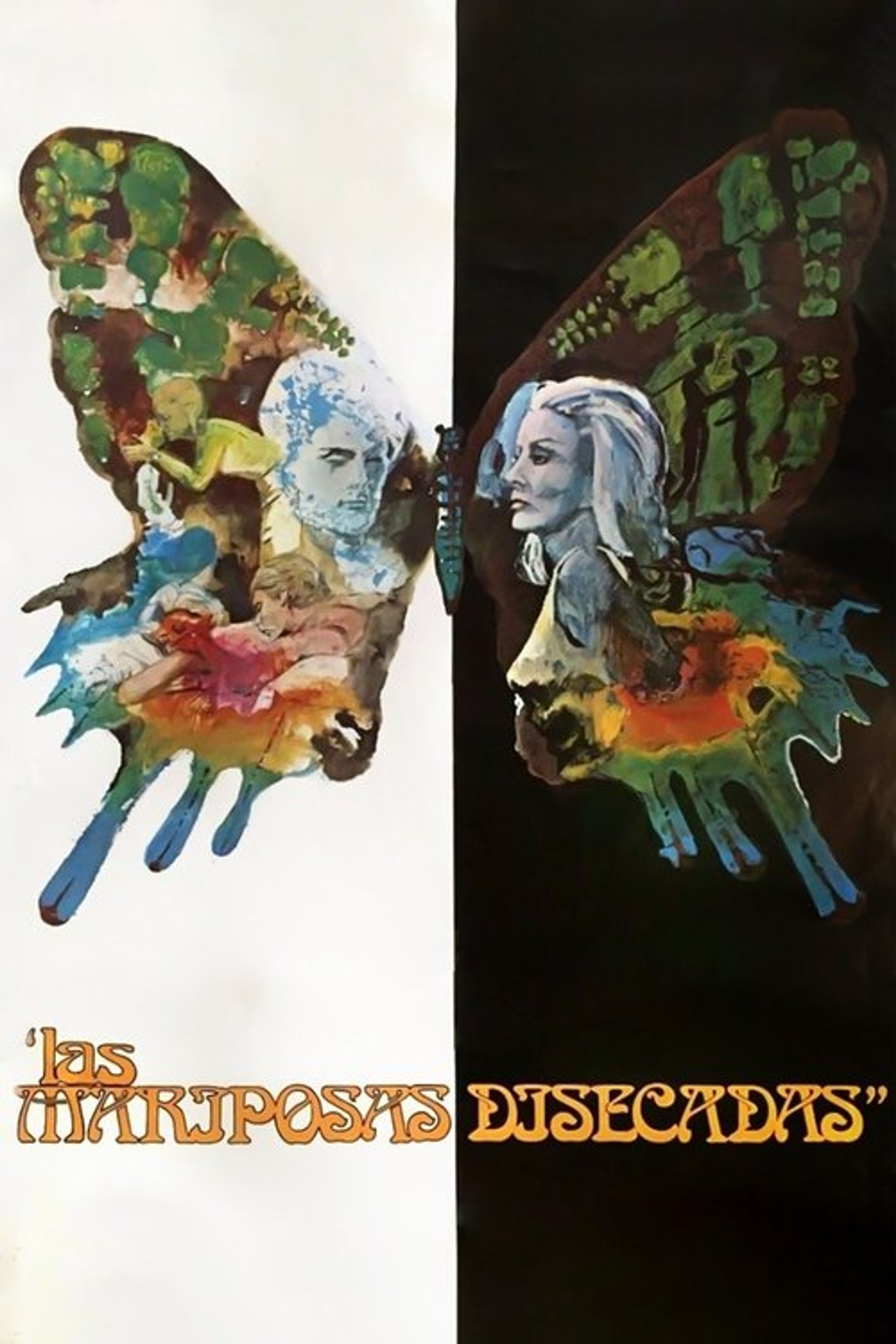 Poster image of The Dried Butterflies
