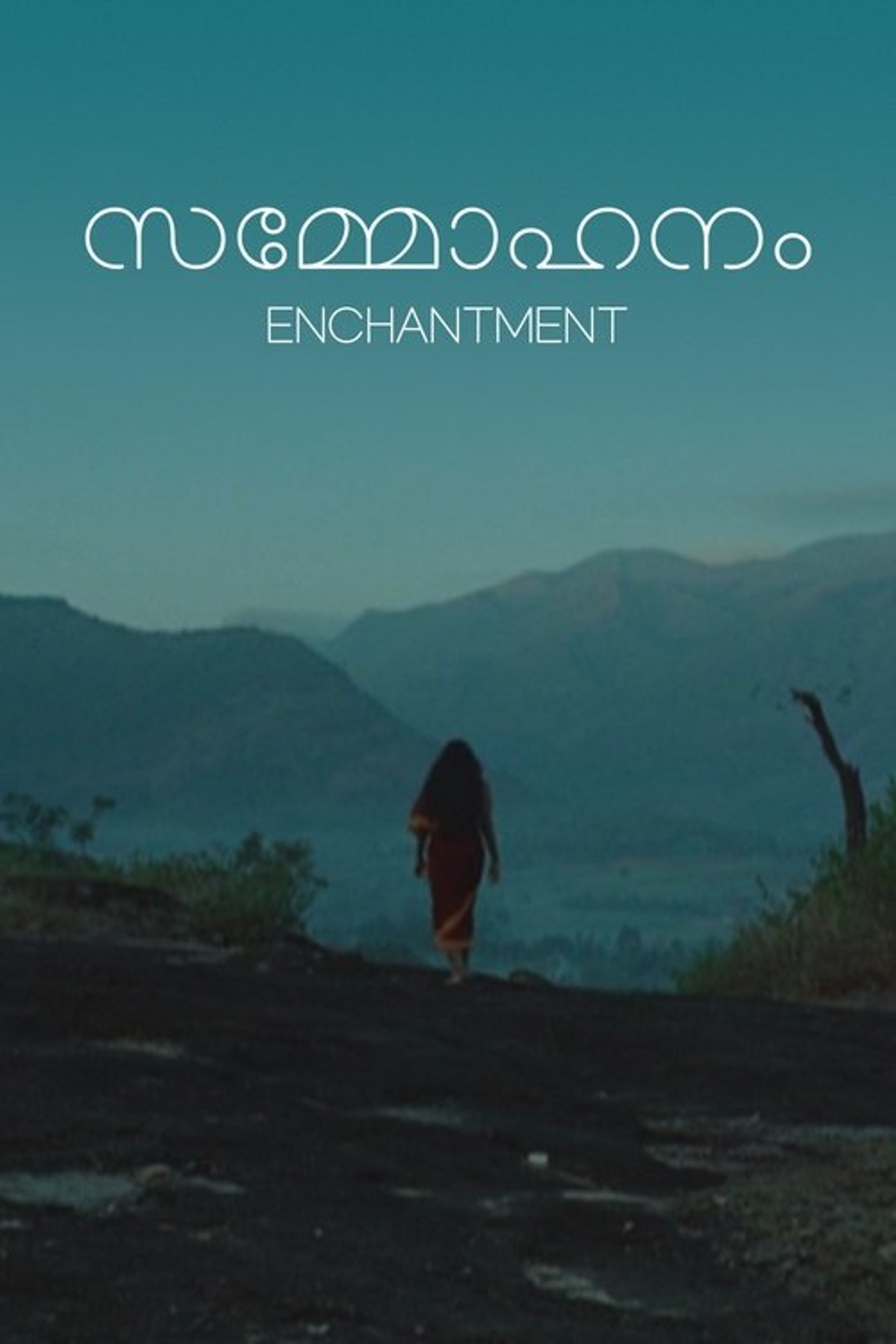 Poster image of Enchantment