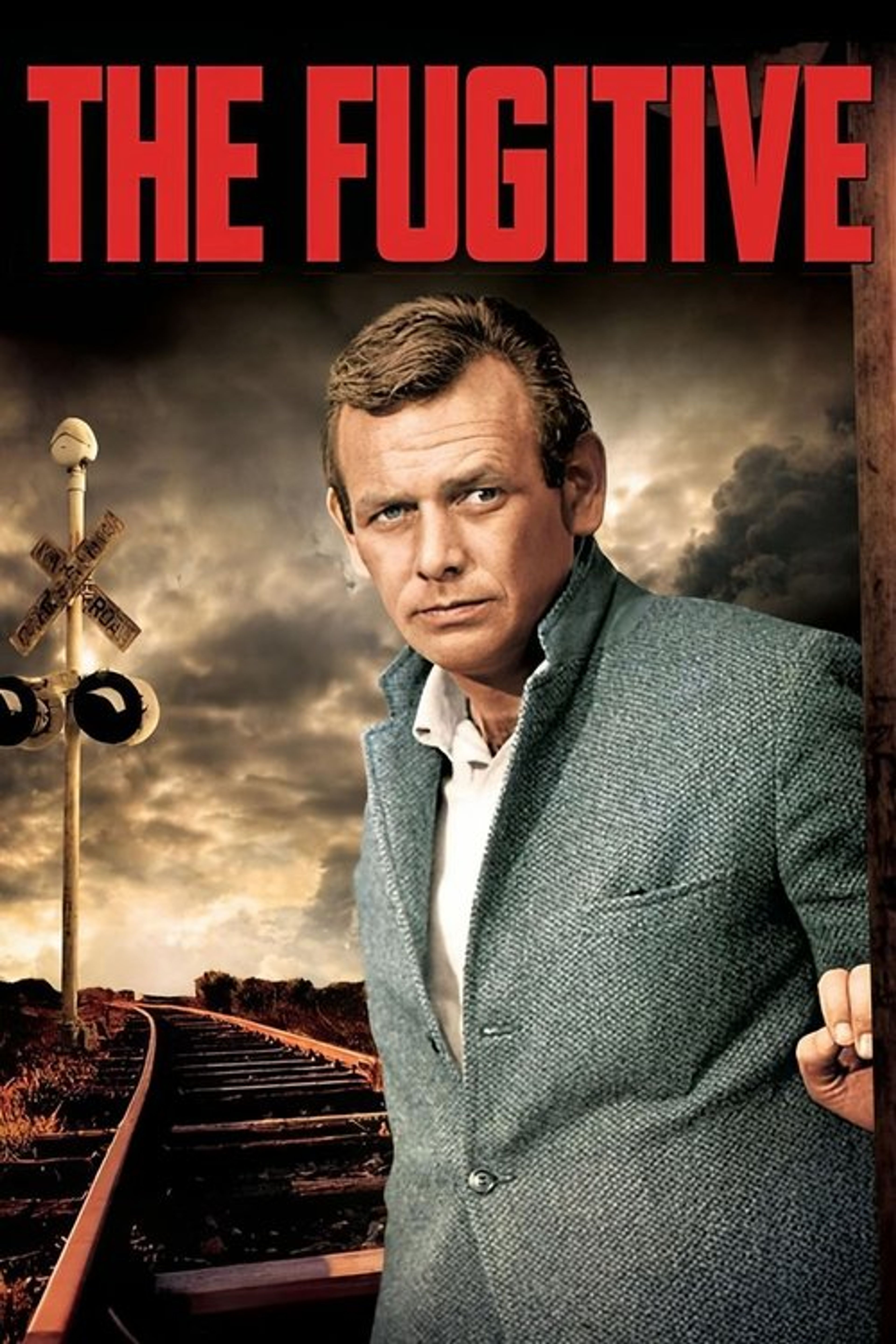 Poster image of The Fugitive