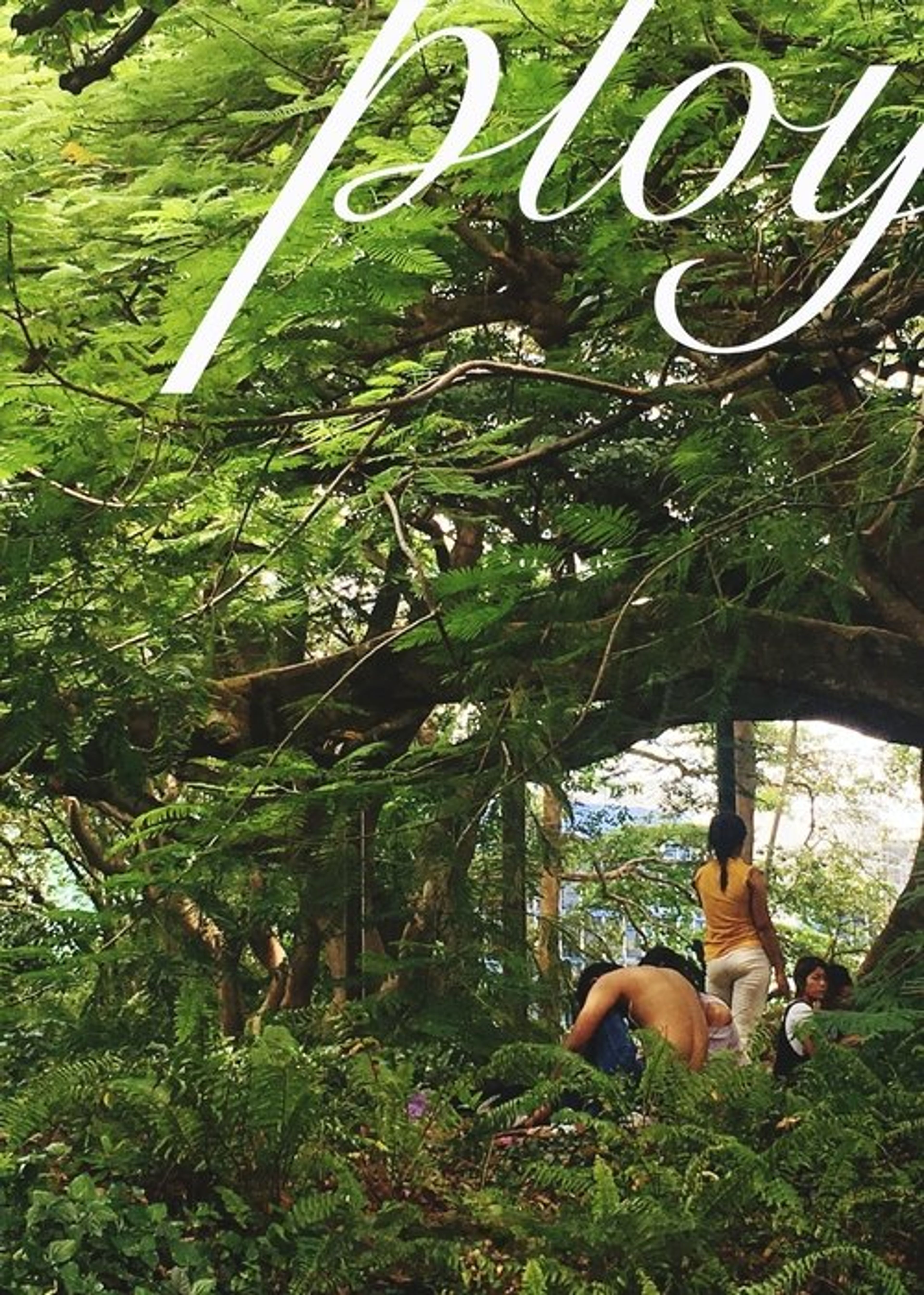 Poster image of Ploy