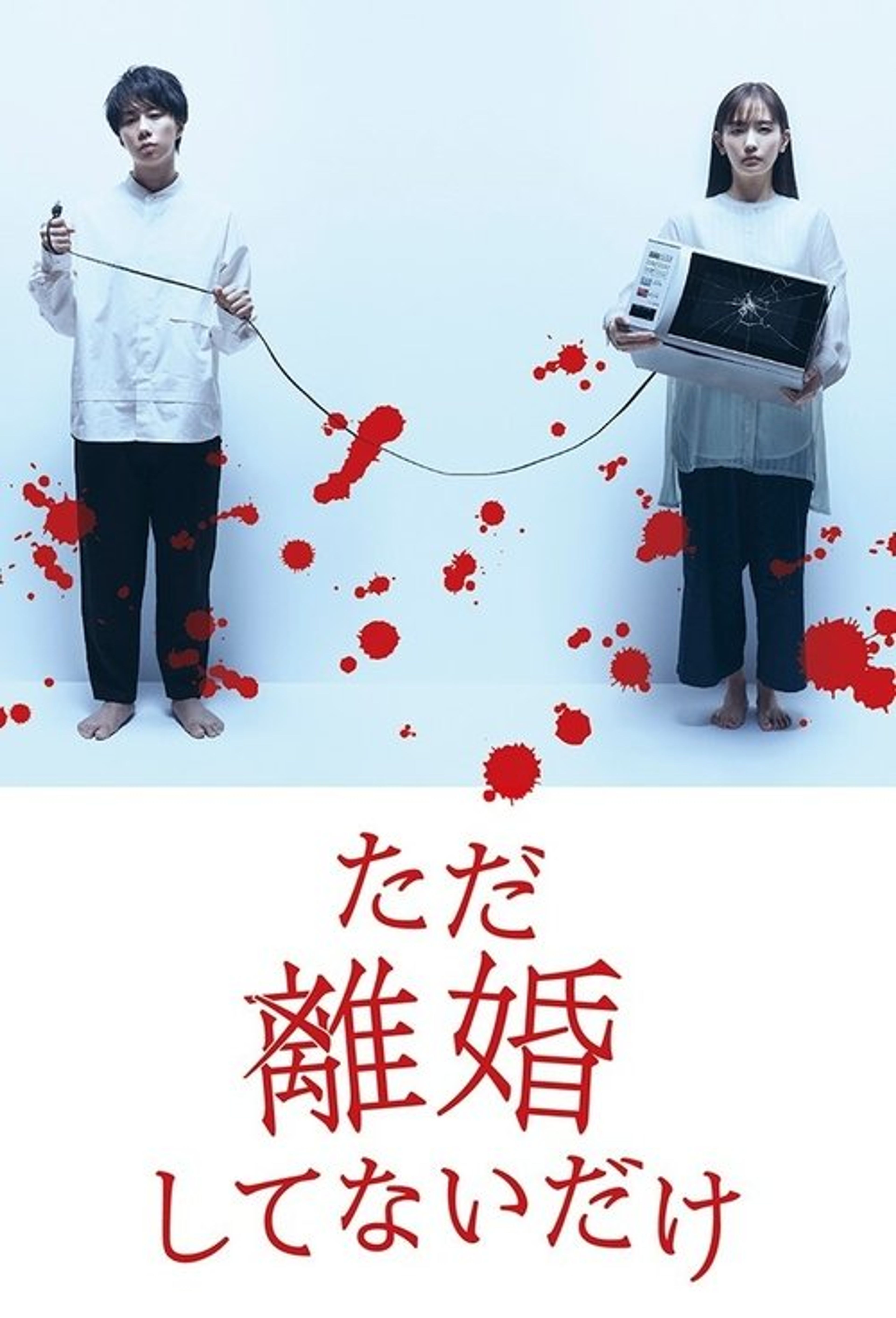 Poster image of We Are Just Not Divorced