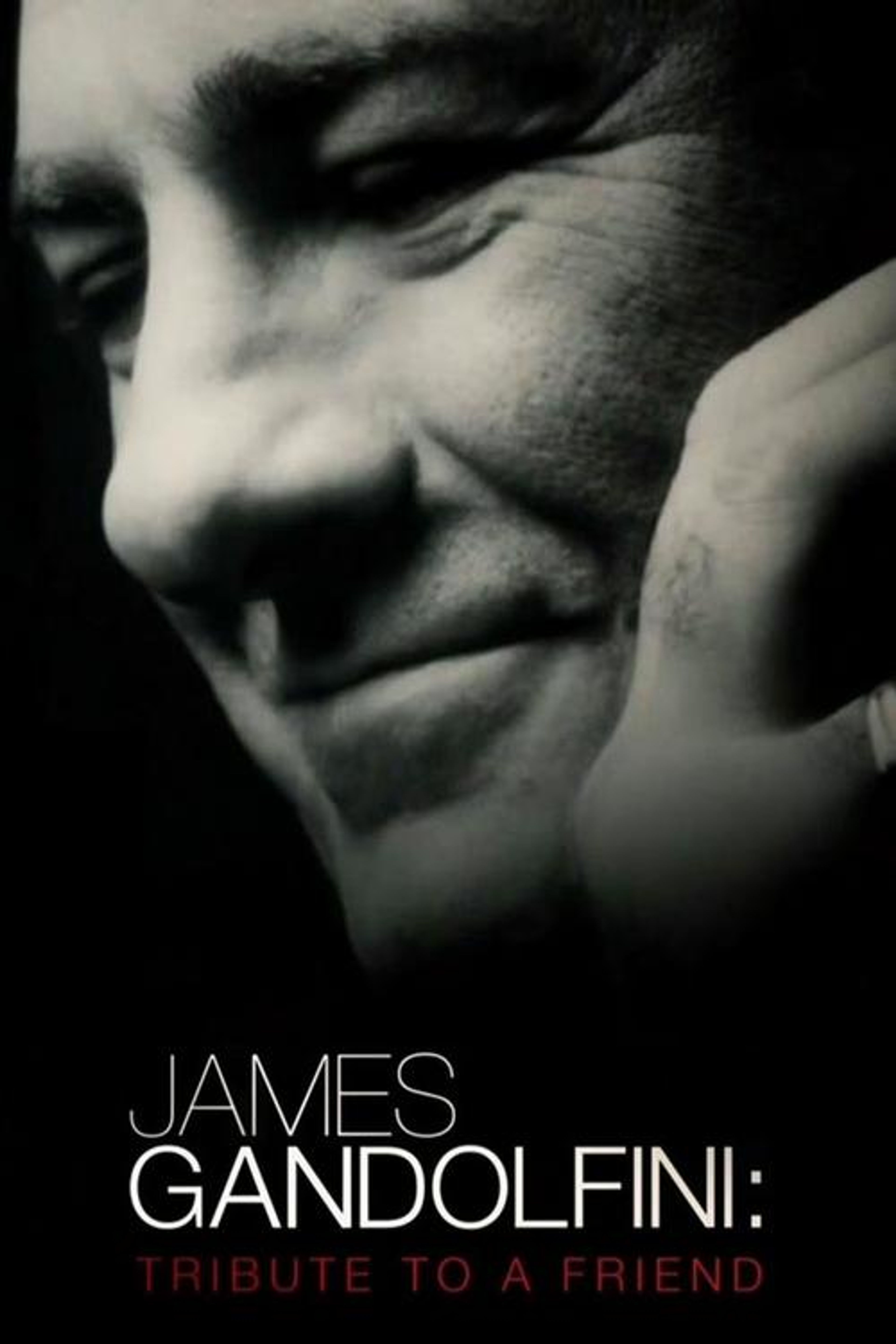 Poster image of James Gandolfini: Tribute to a Friend
