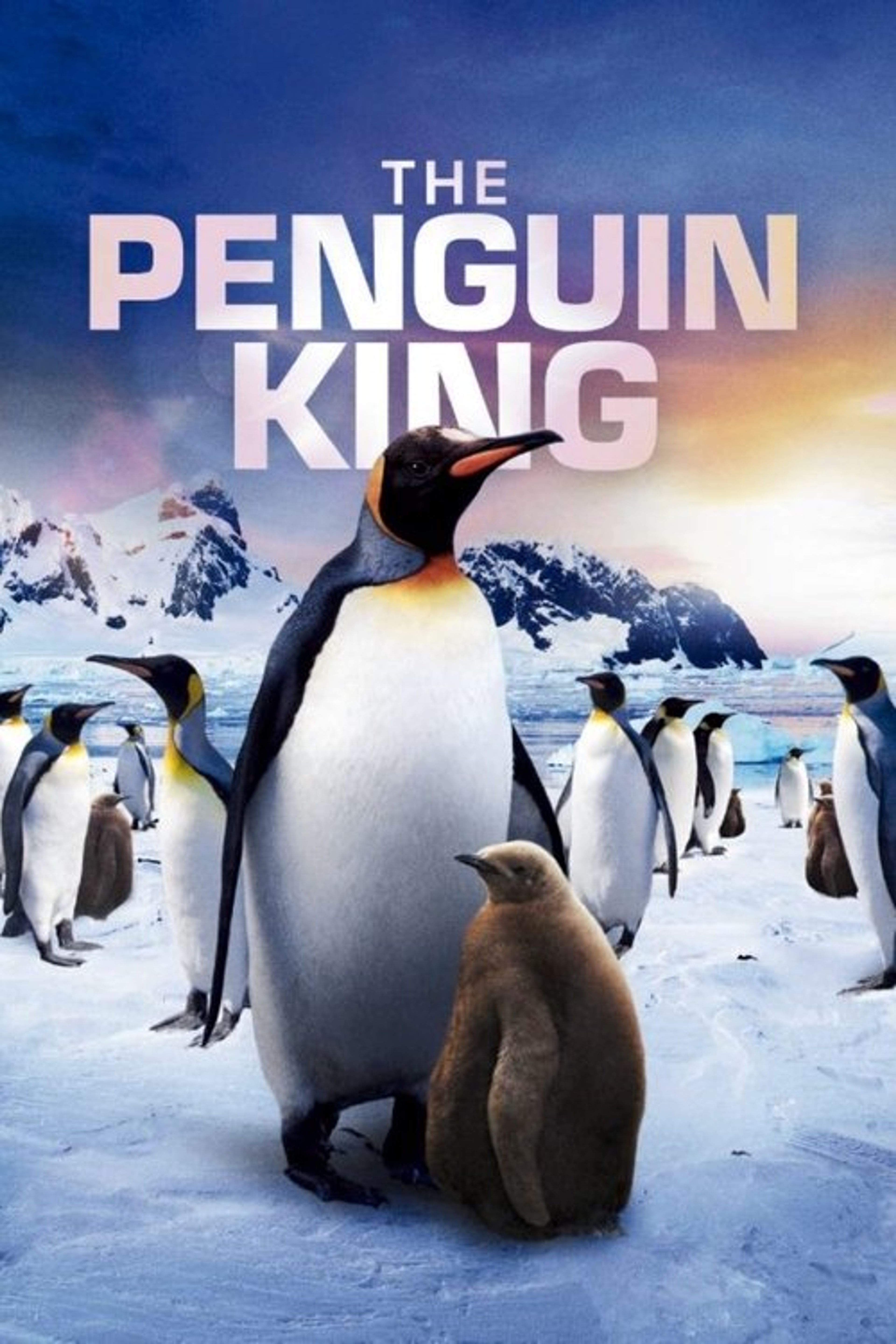 Poster image of The Penguin King