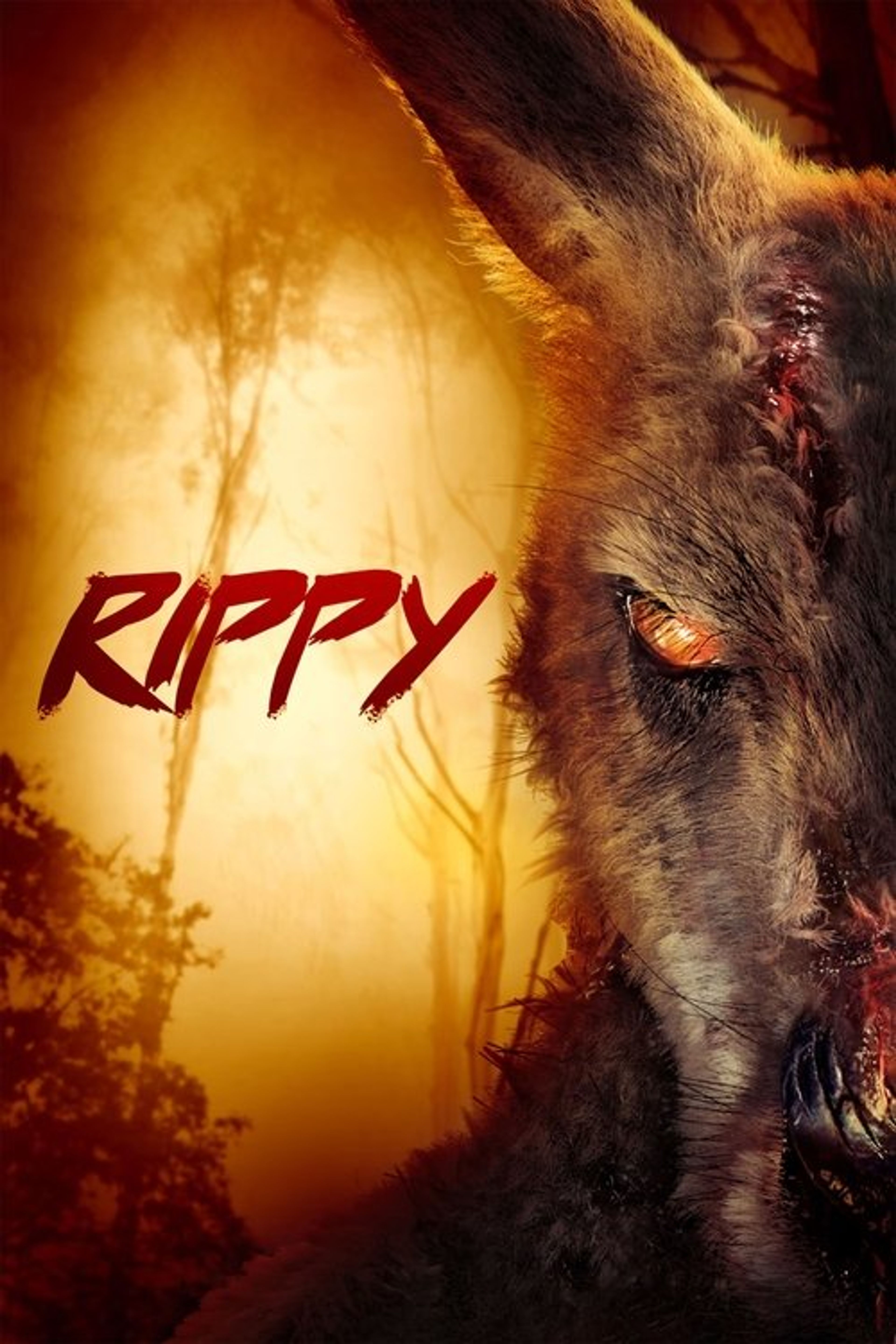Poster image of Rippy