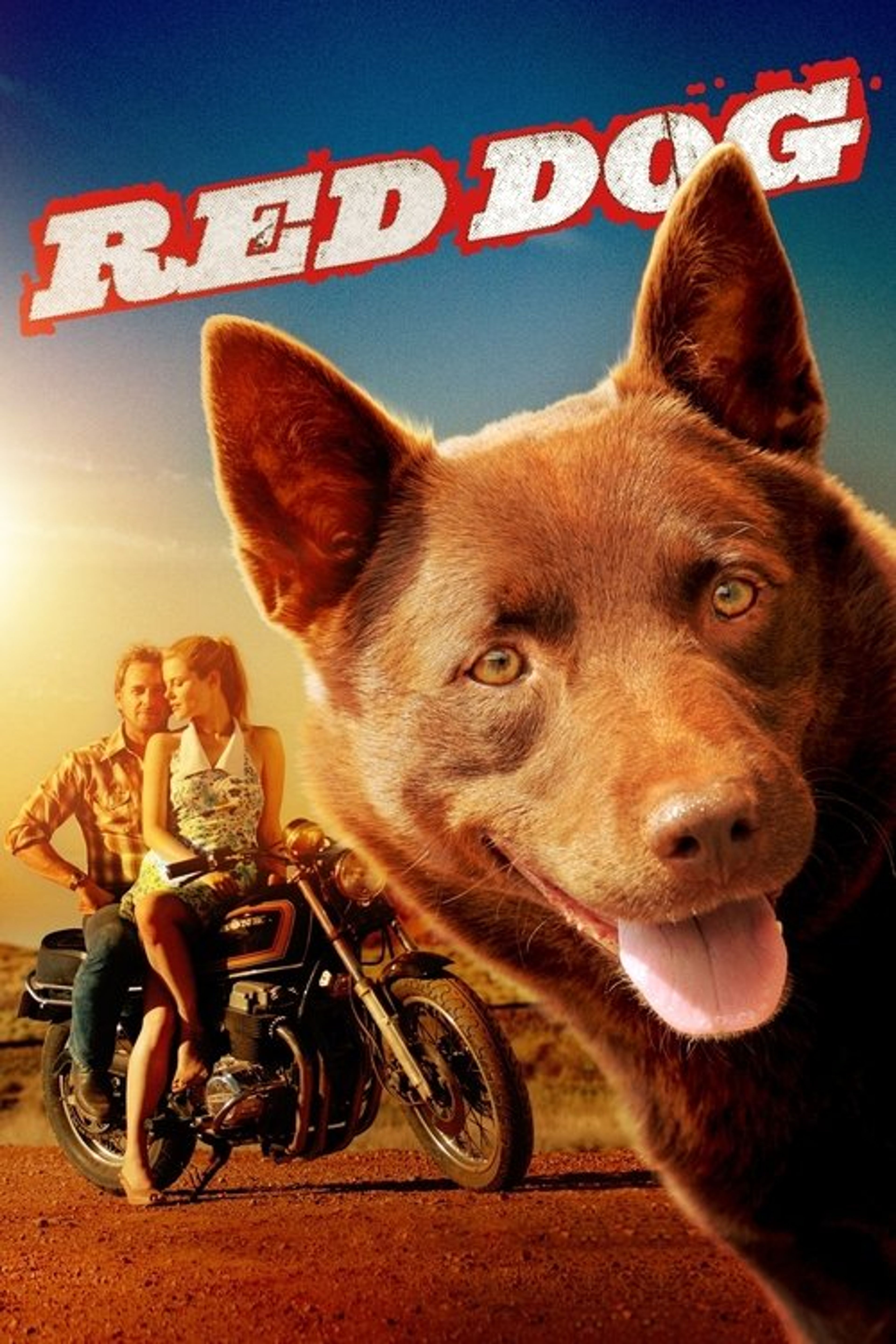 Poster image of Red Dog