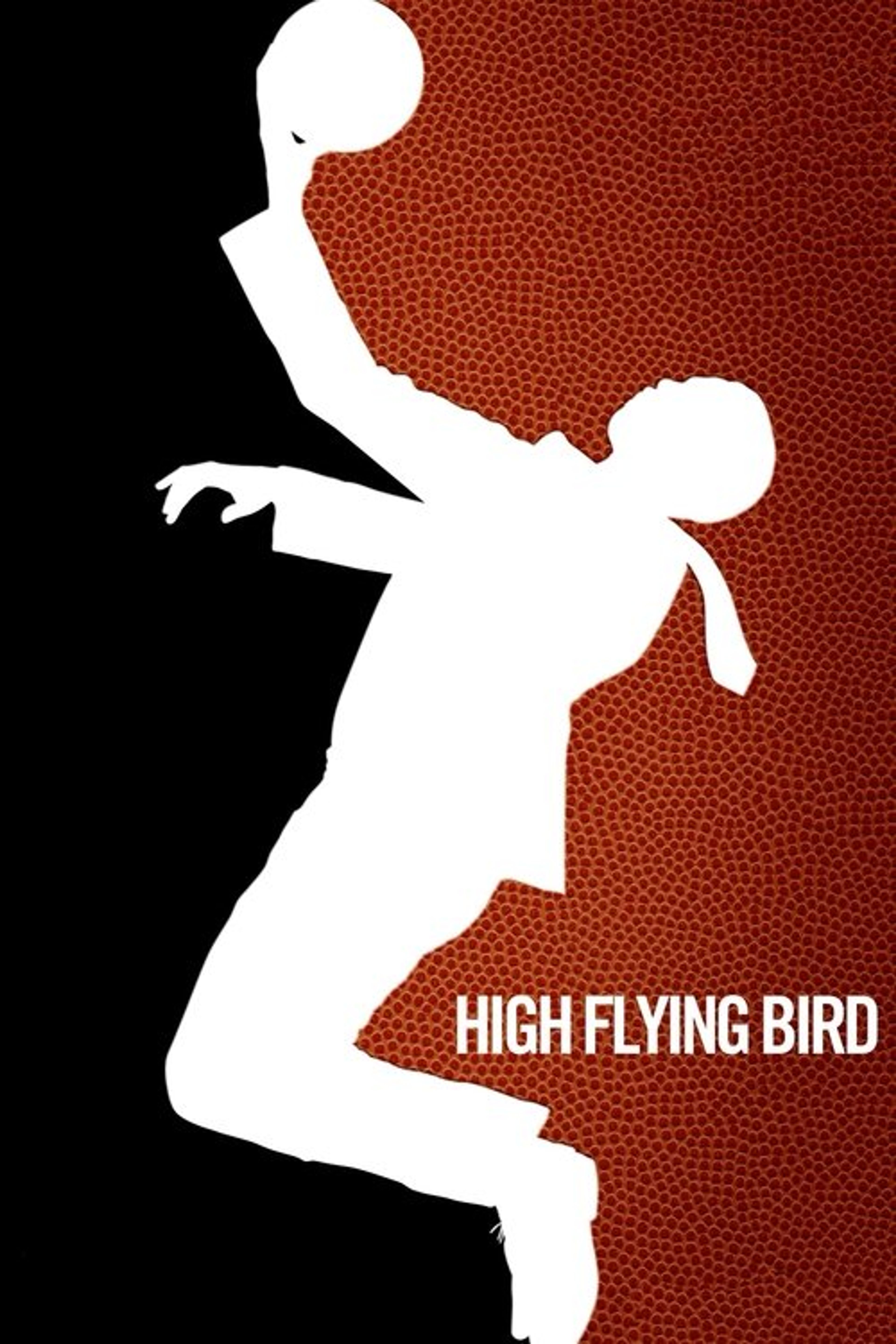 Poster image of High Flying Bird