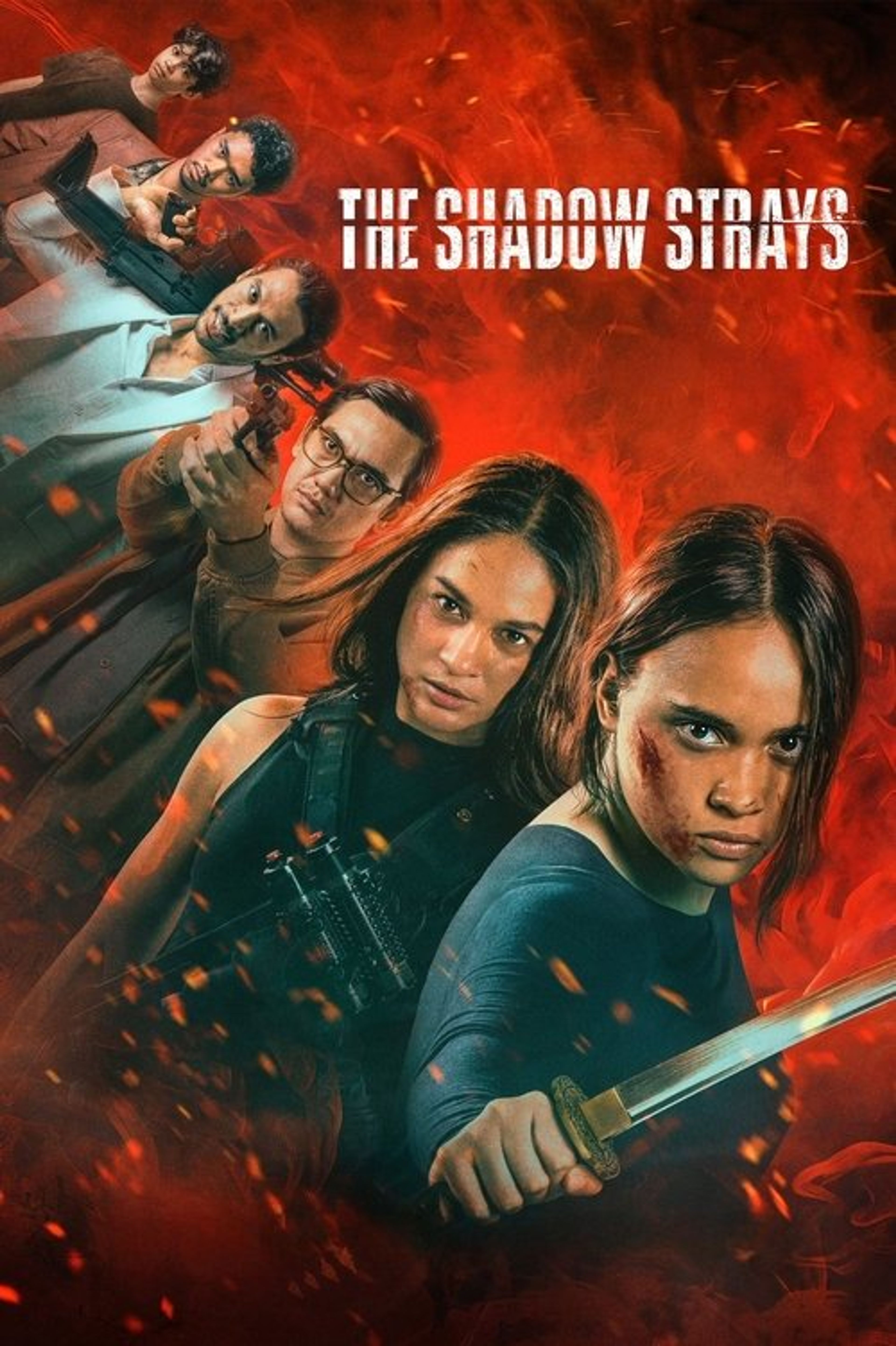 Poster image of The Shadow Strays