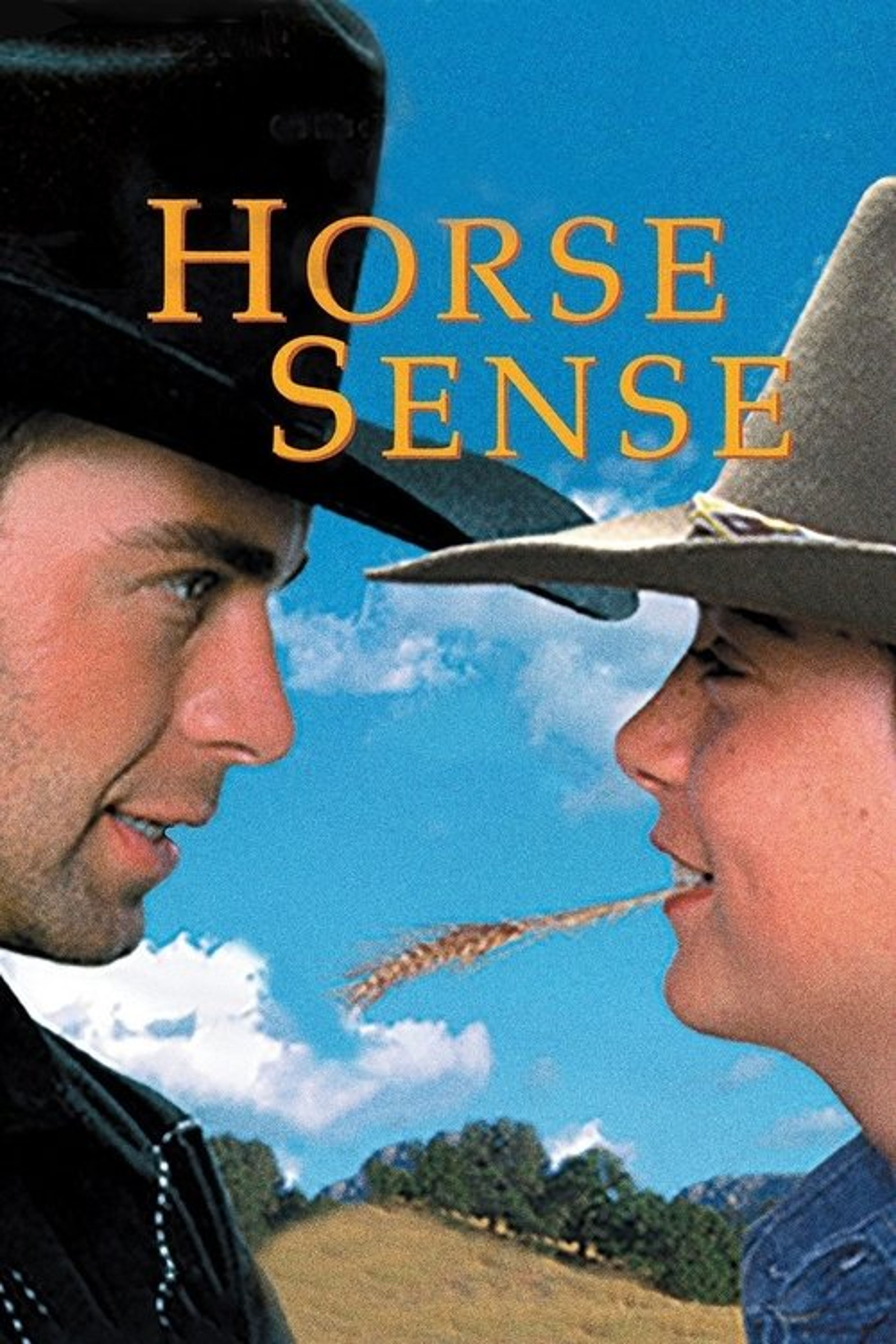 Poster image of Horse Sense