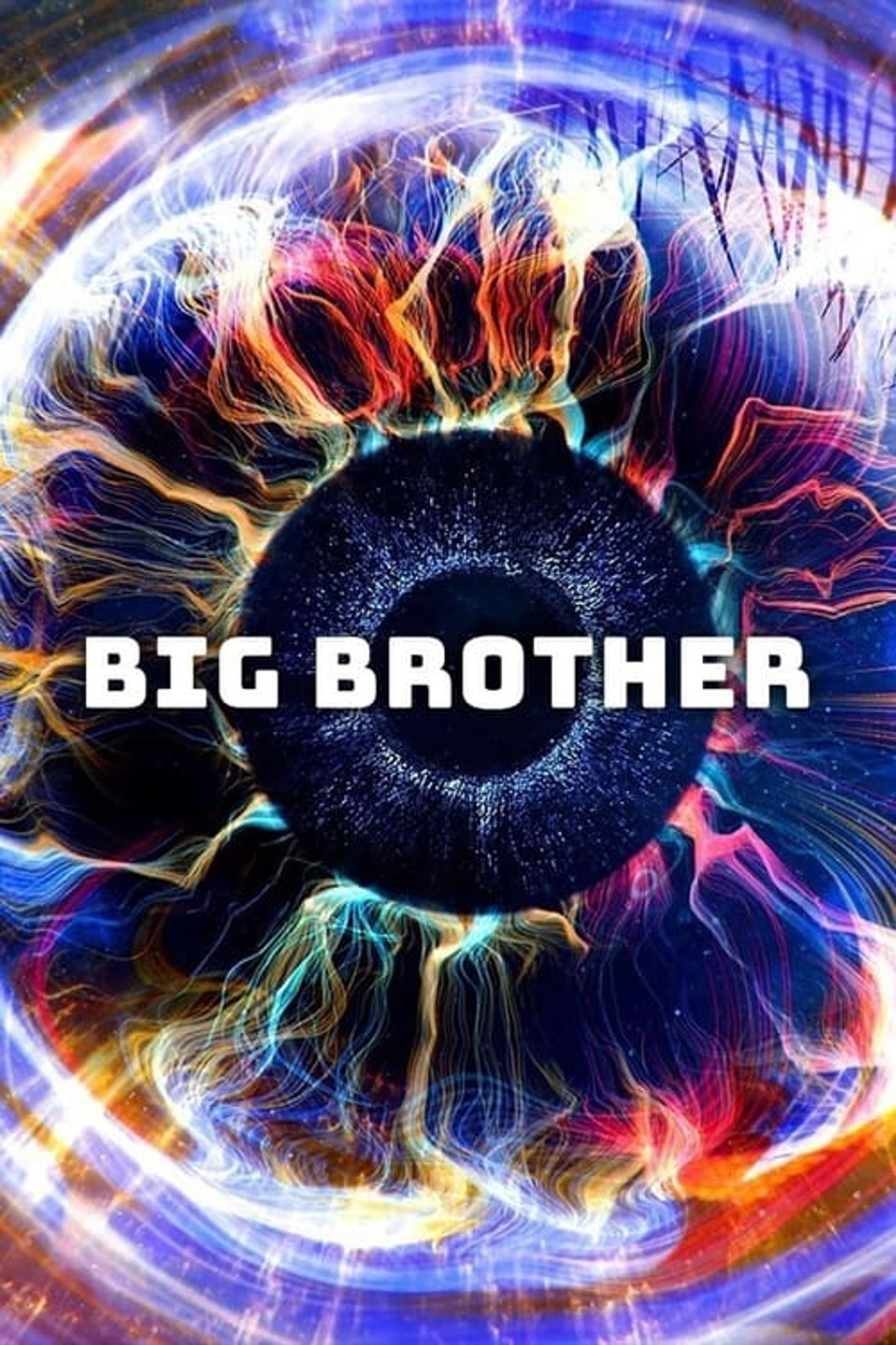 Poster image of Big Brother