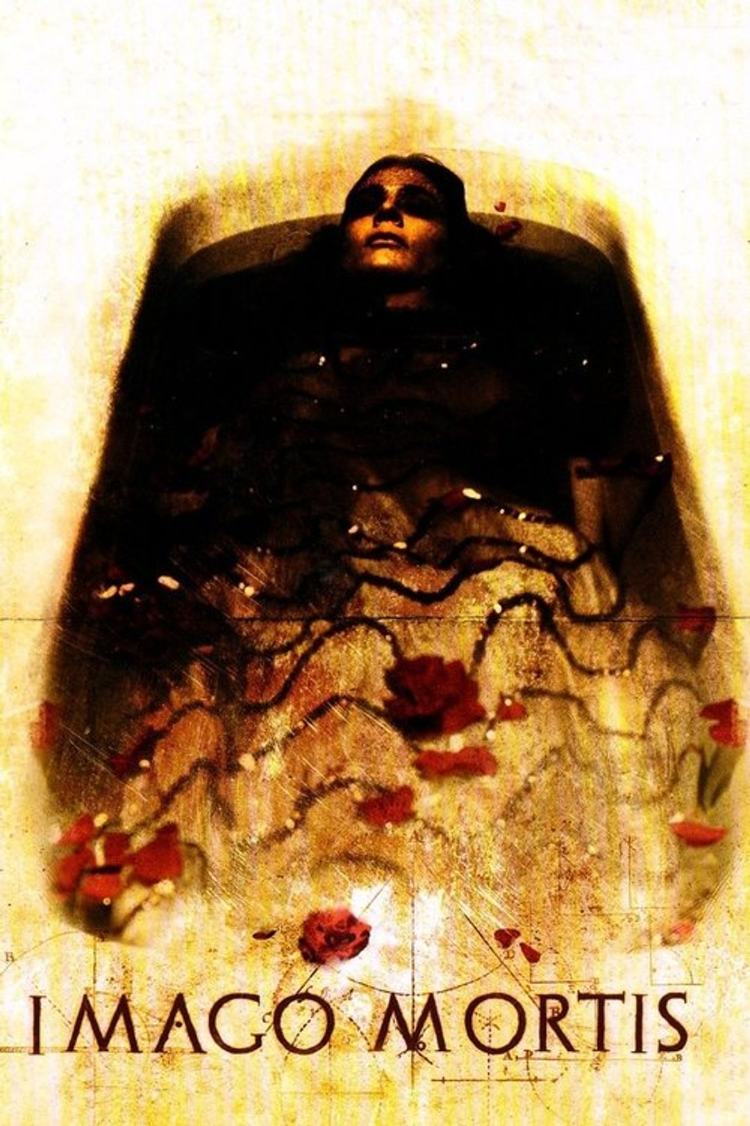 Poster image of Imago Mortis