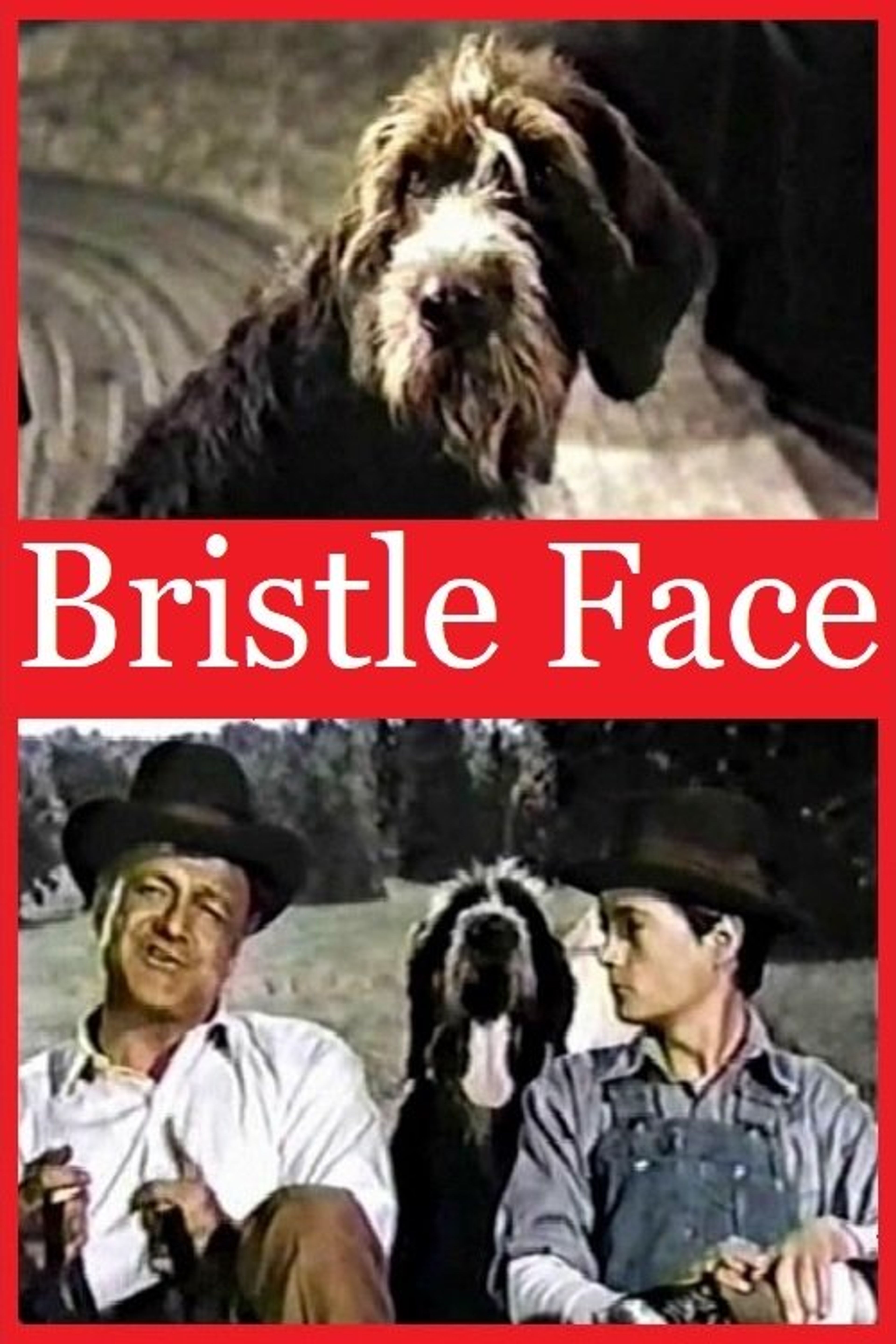 Poster image of Bristle Face