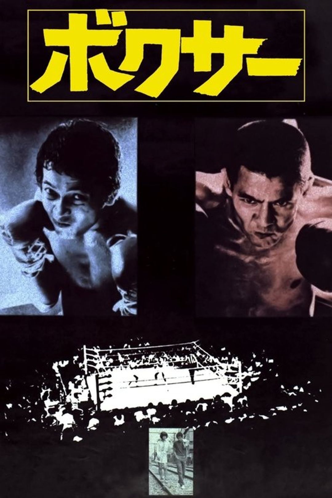 Poster image of Boxer