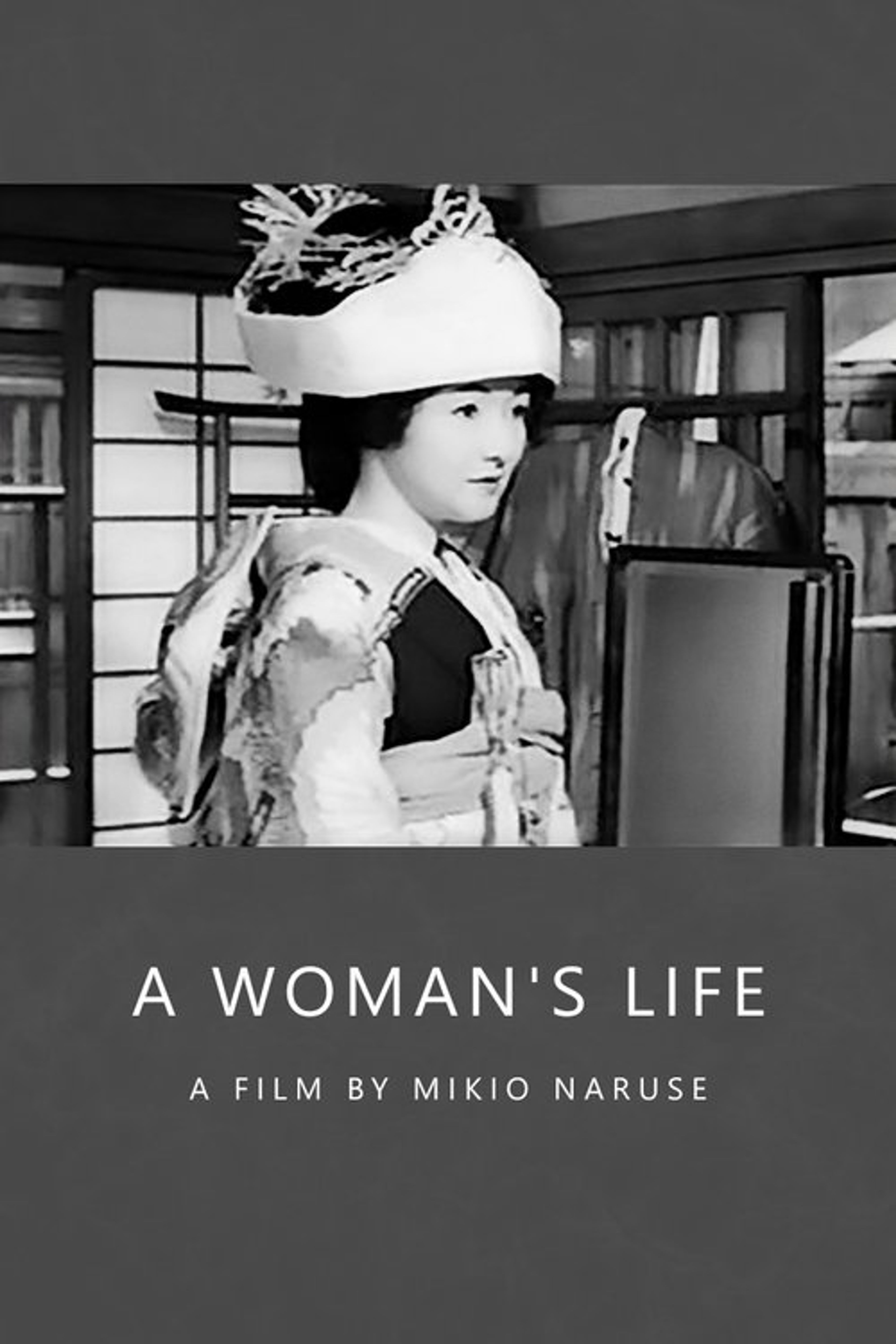 Poster image of A Woman's Life