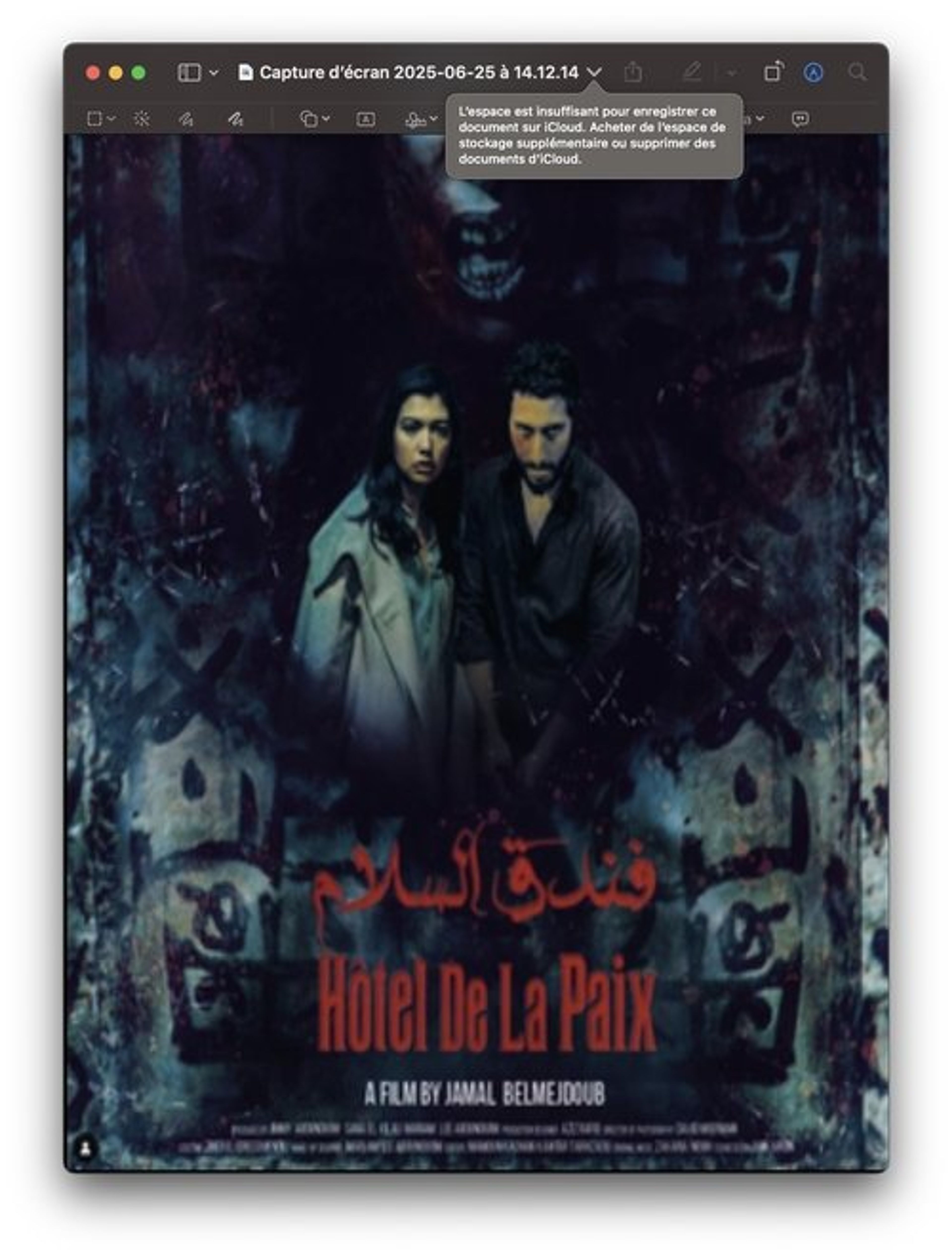 Poster image of Hôtel de la Paix