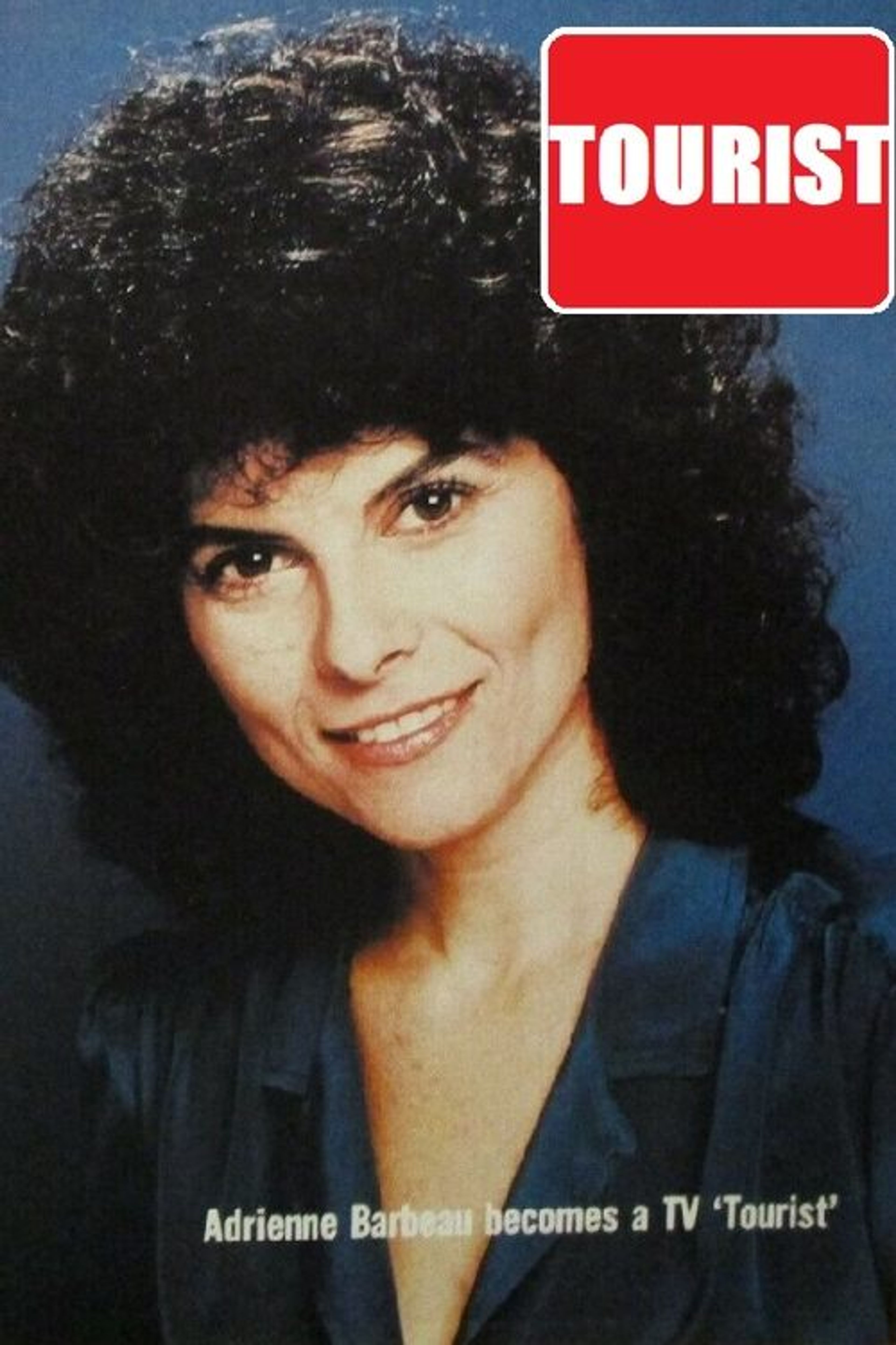 Poster image of Tourist