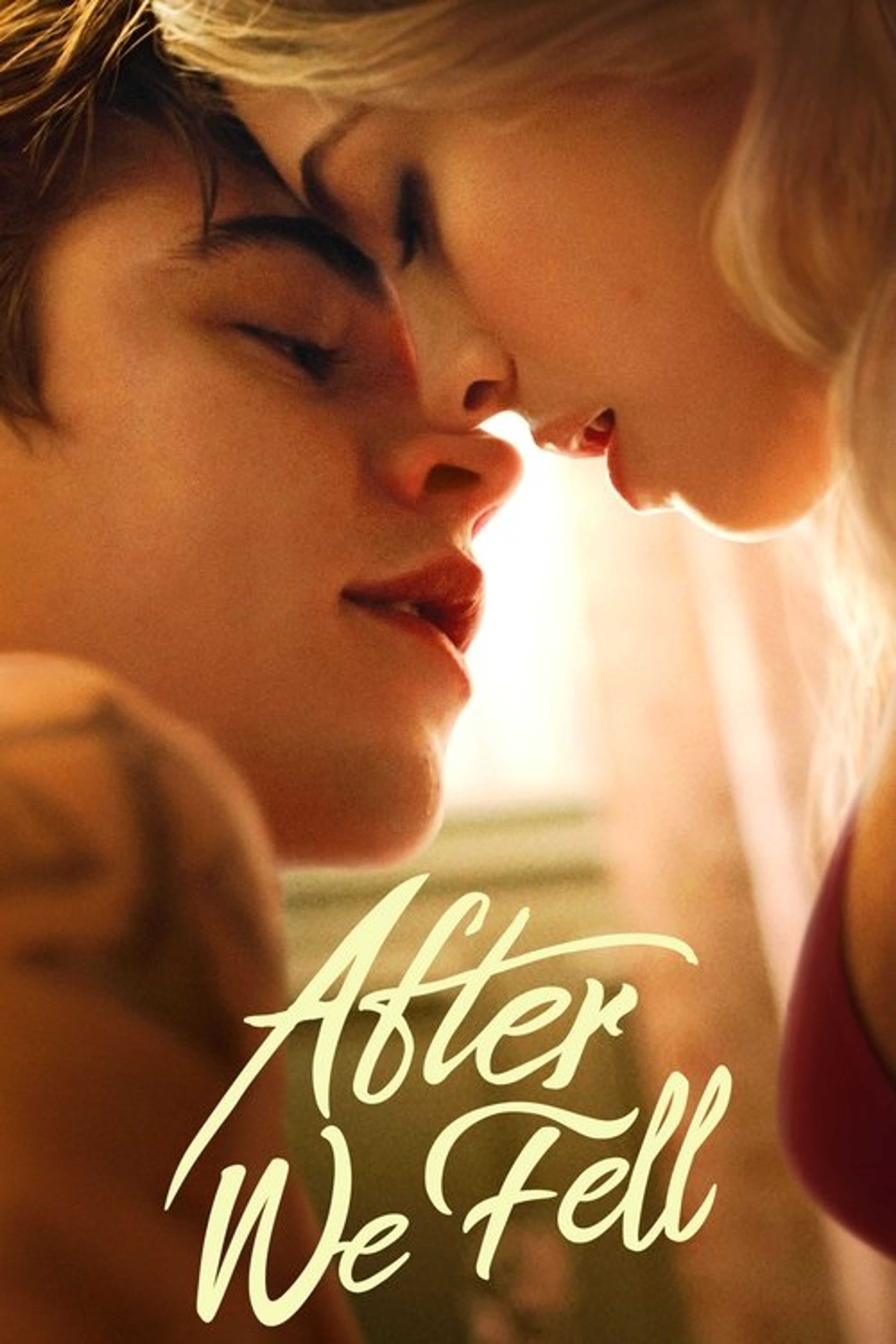 Poster image of After We Fell