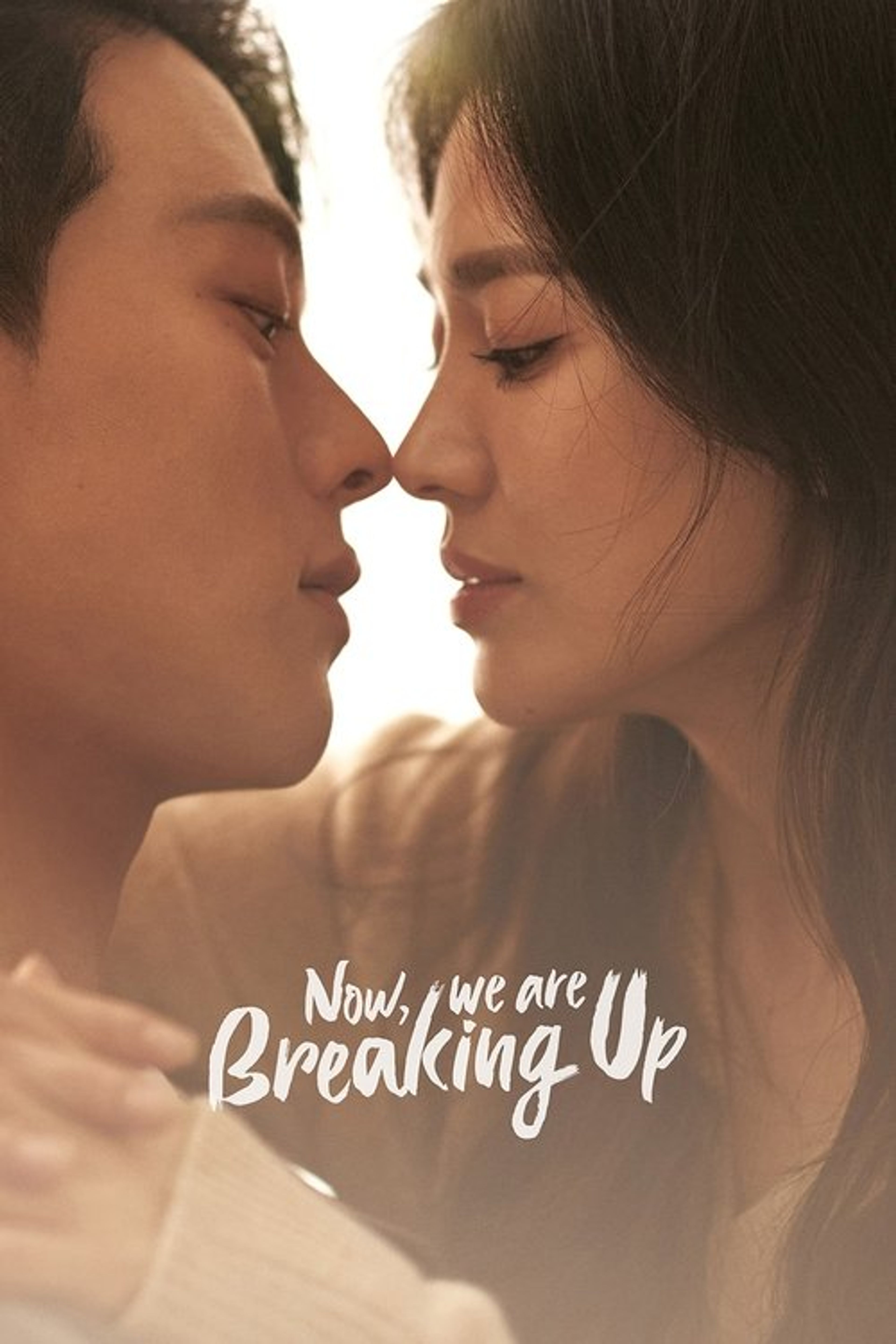 Poster image of Now, We Are Breaking Up