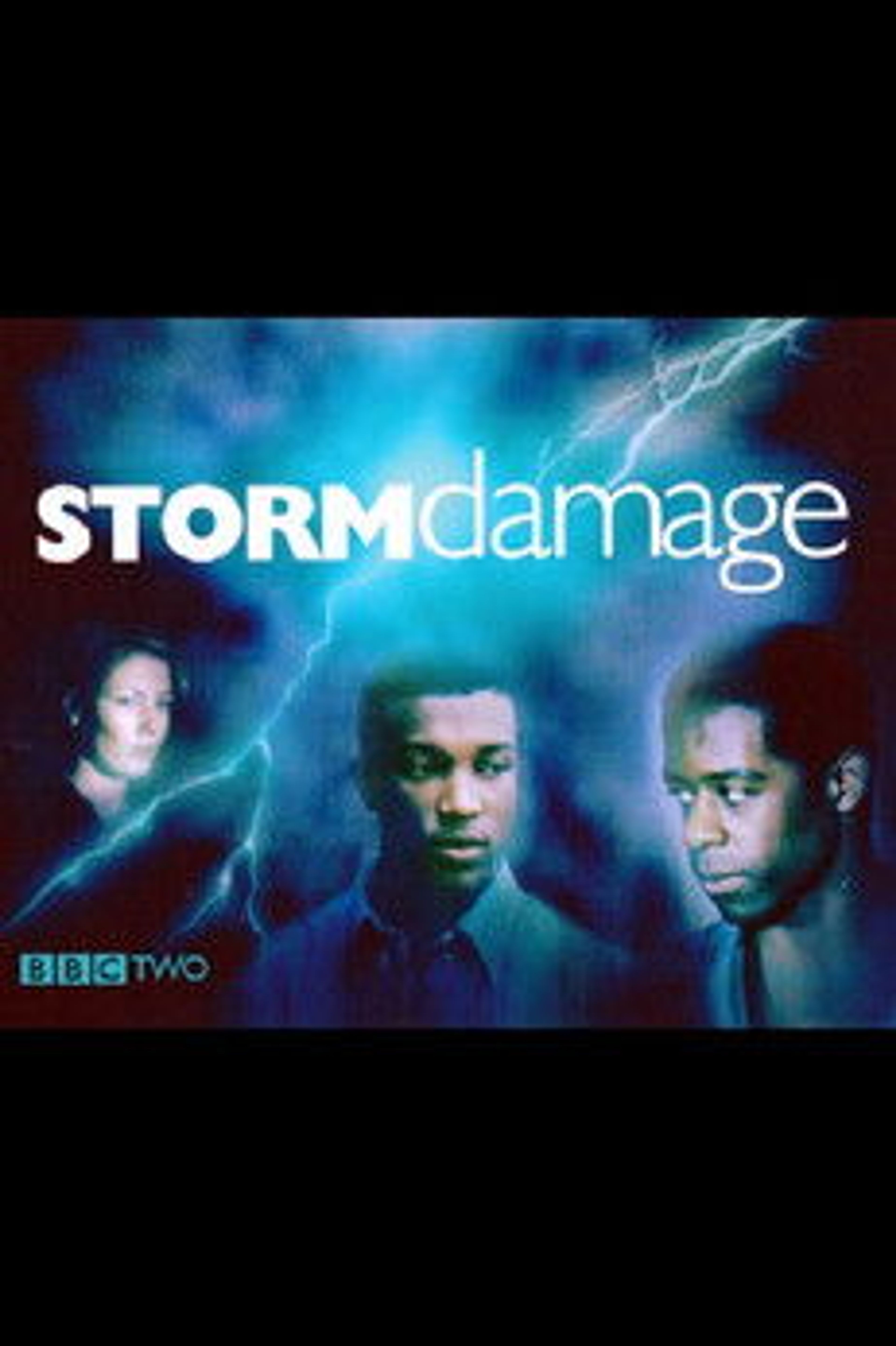 Poster image of Storm Damage