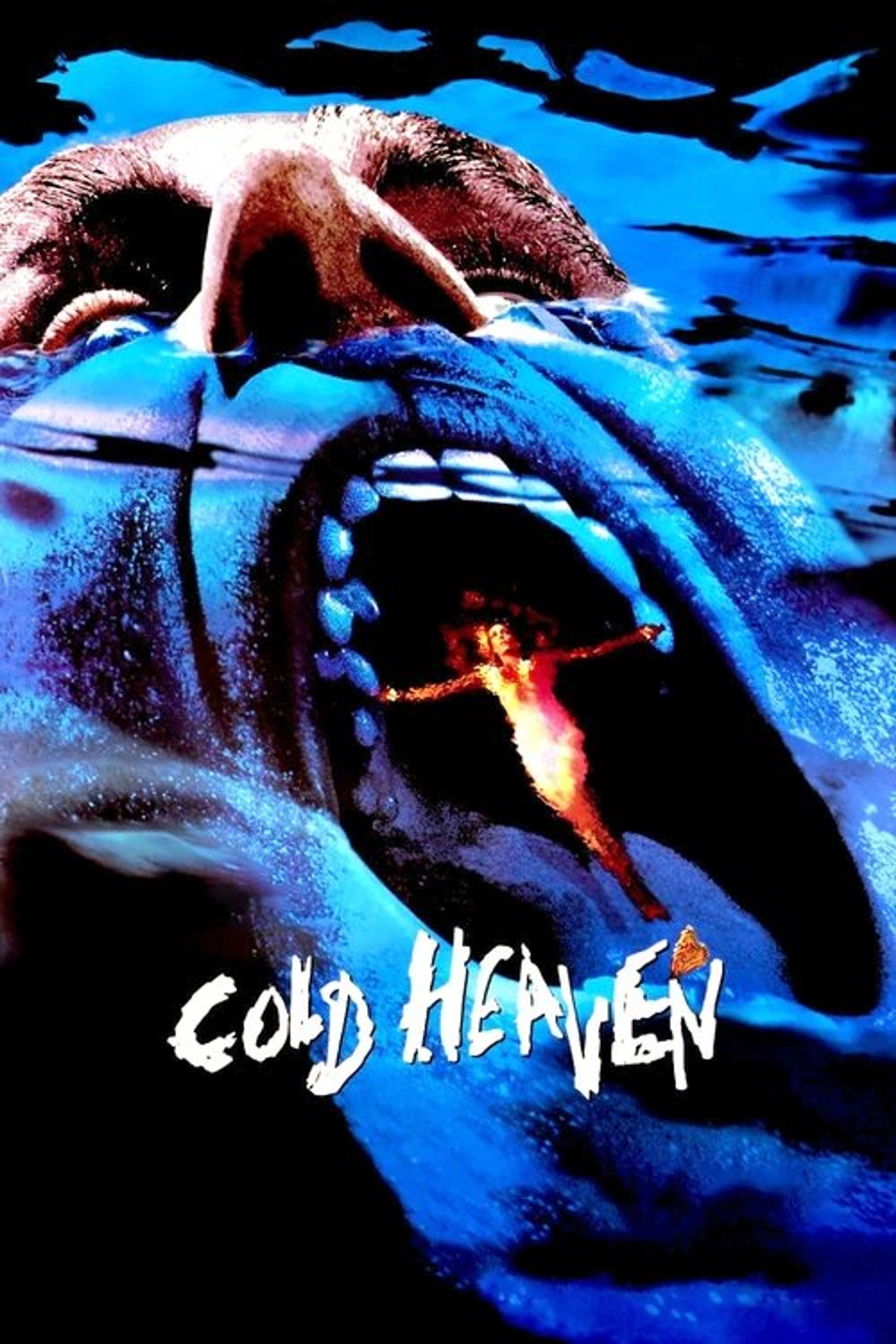 Poster image of Cold Heaven