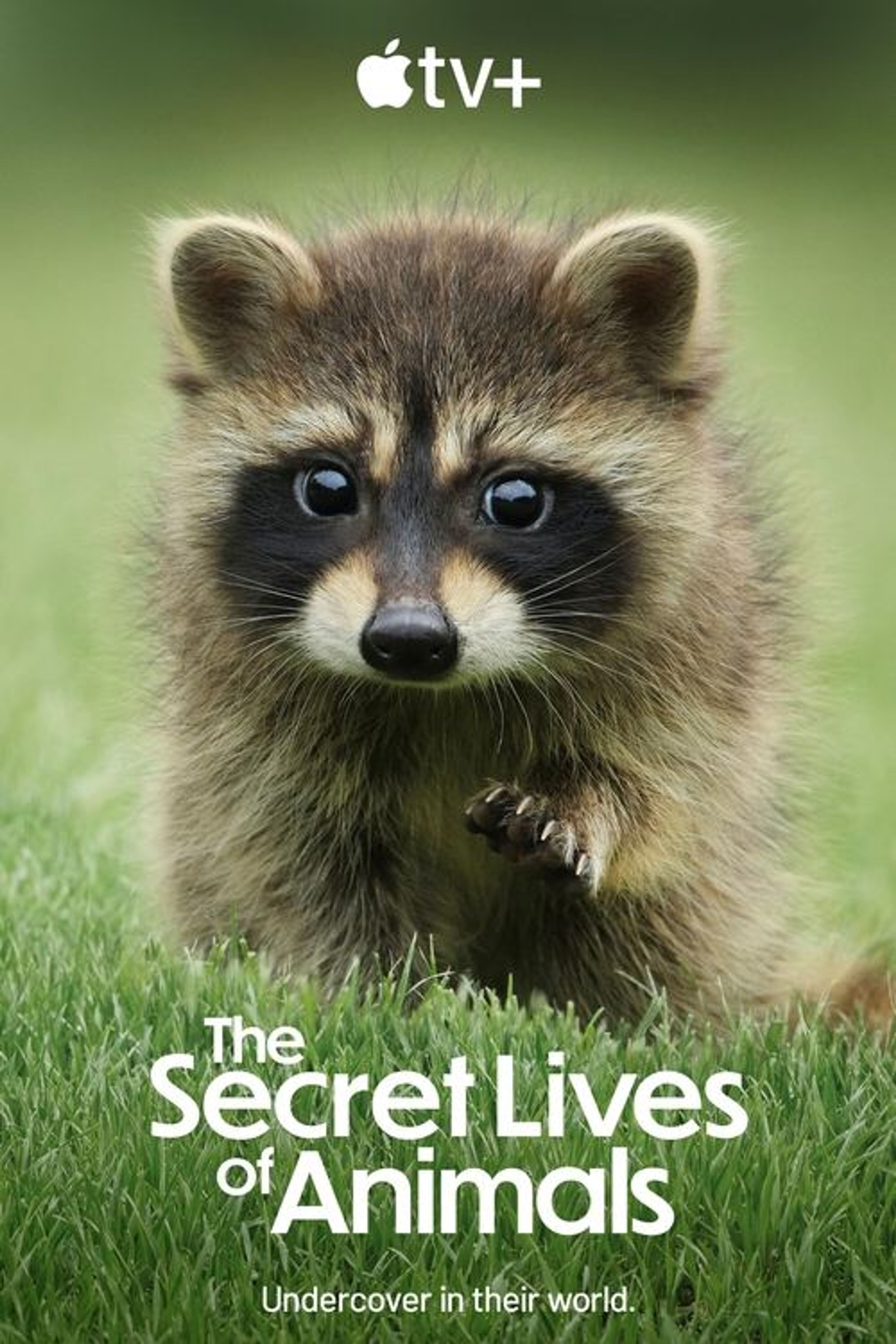 Poster image of The Secret Lives of Animals