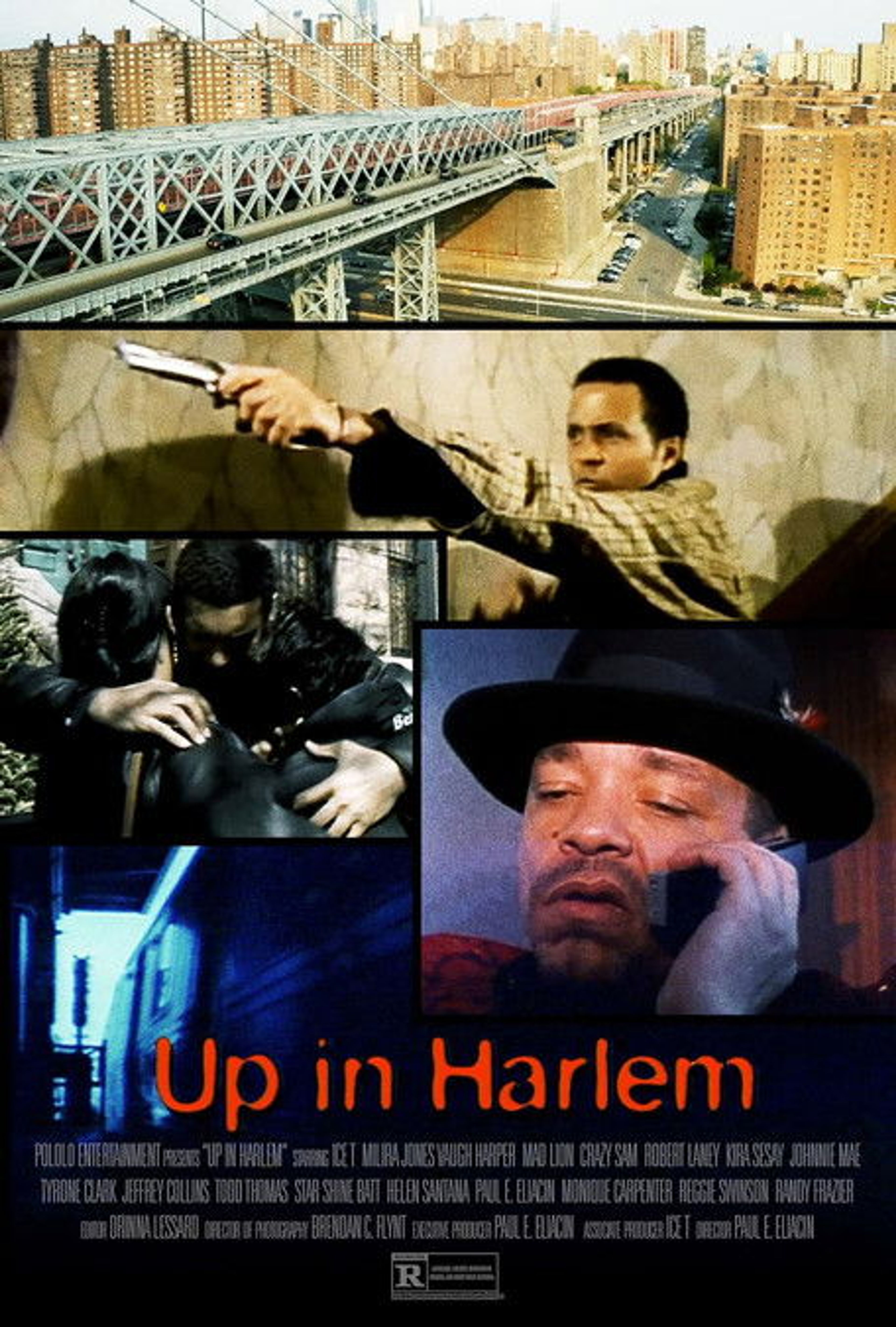 Poster image of Up in Harlem
