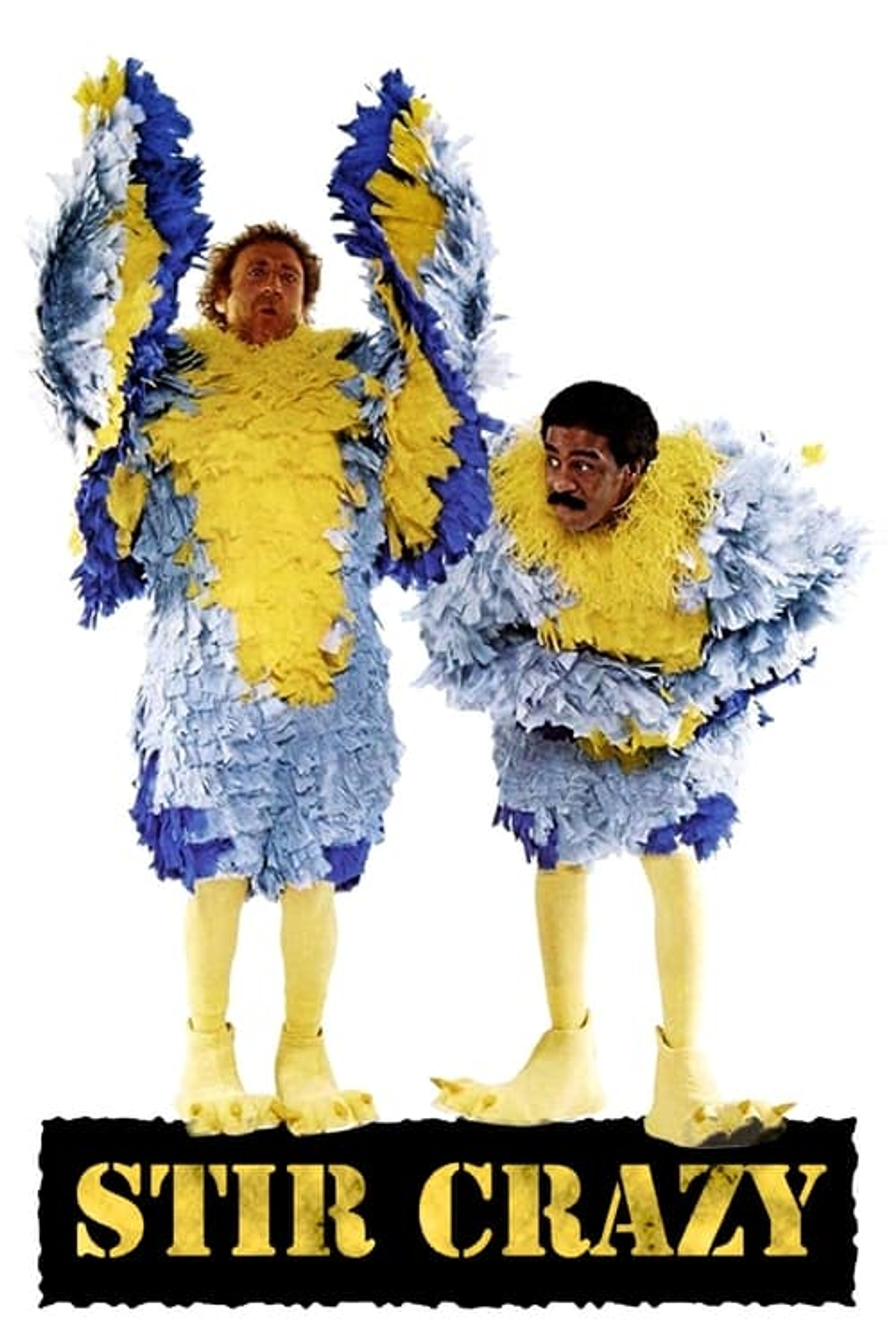 Poster image of Stir Crazy