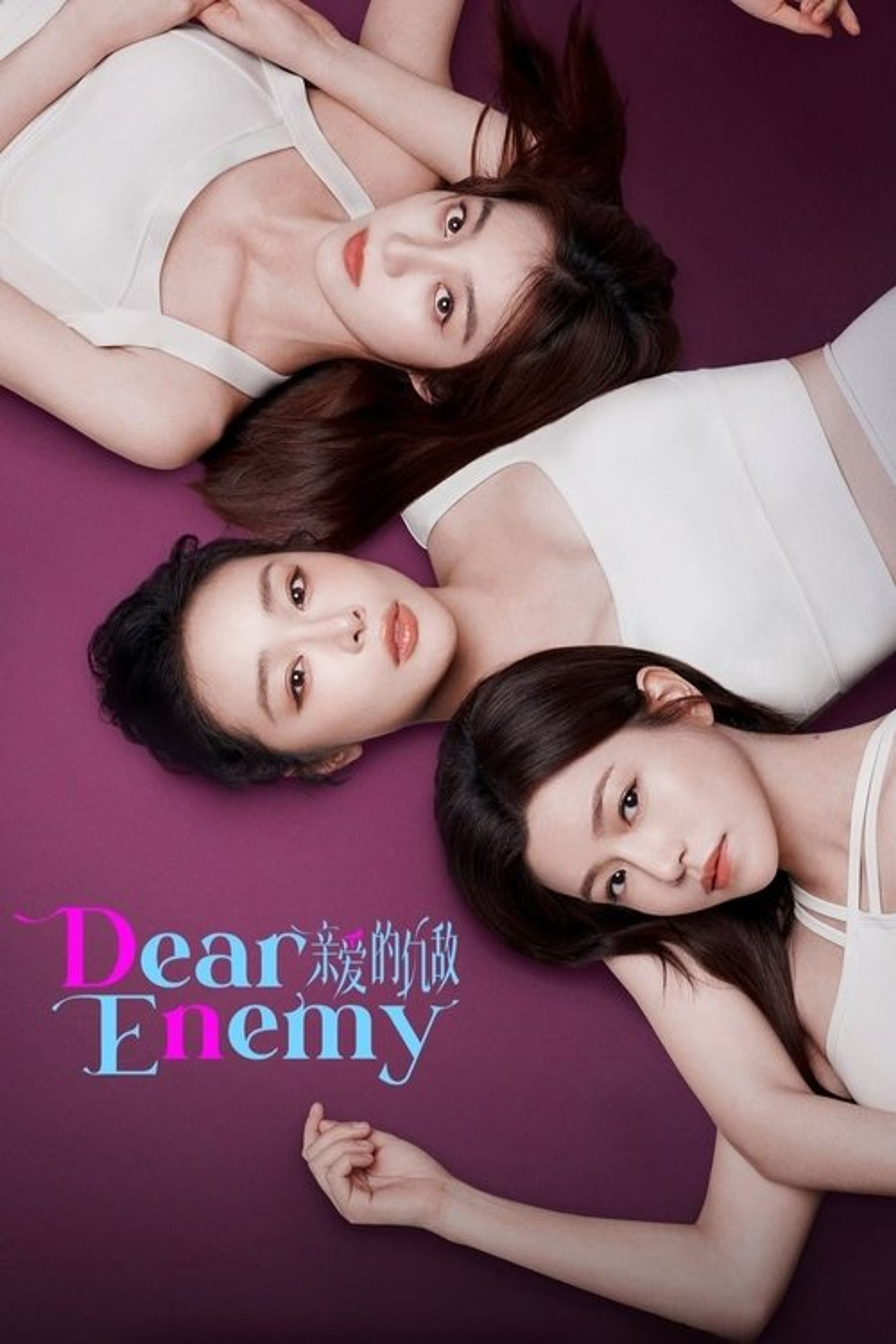 Poster image of Dear Enemy