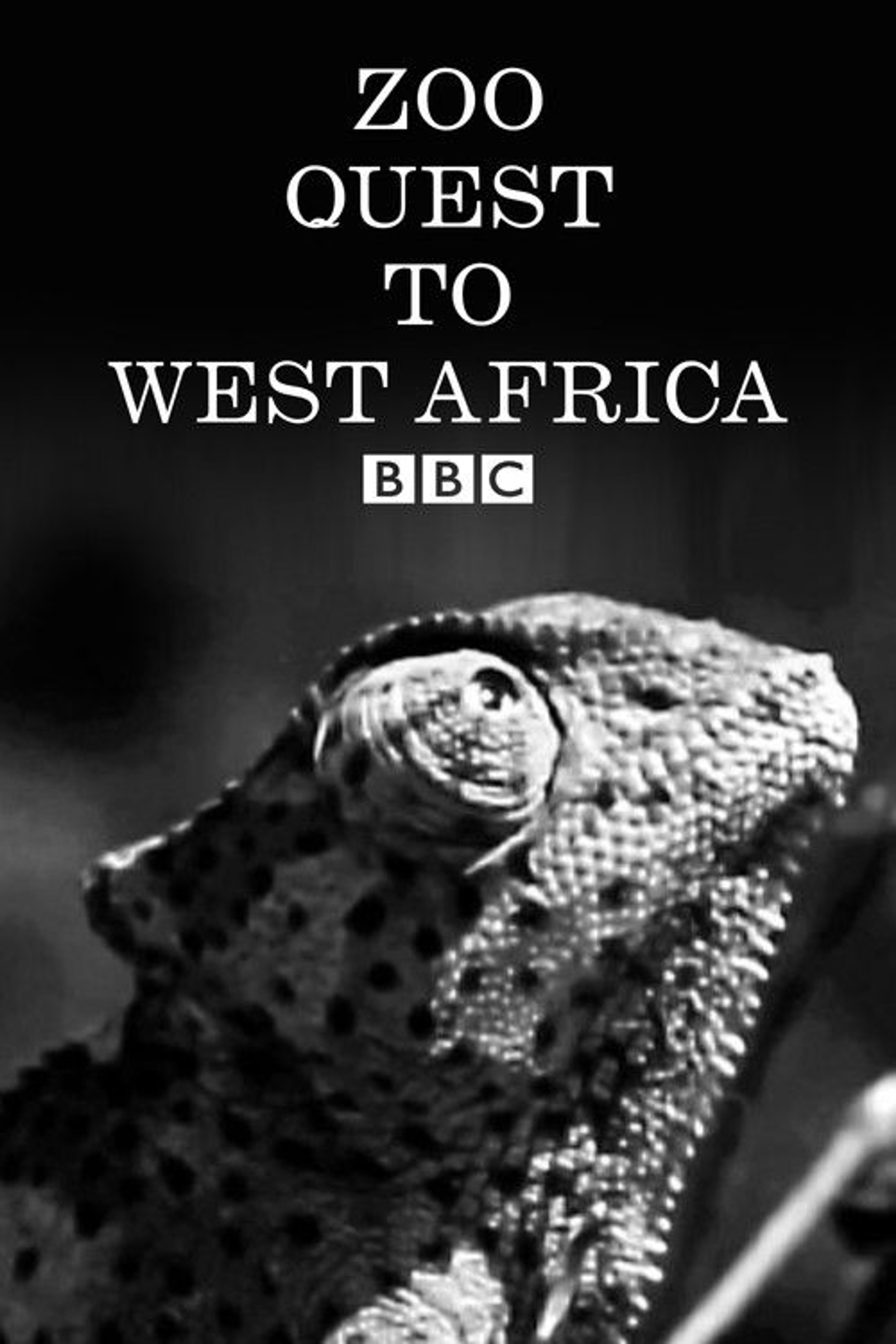 Poster image of Zoo Quest to West Africa