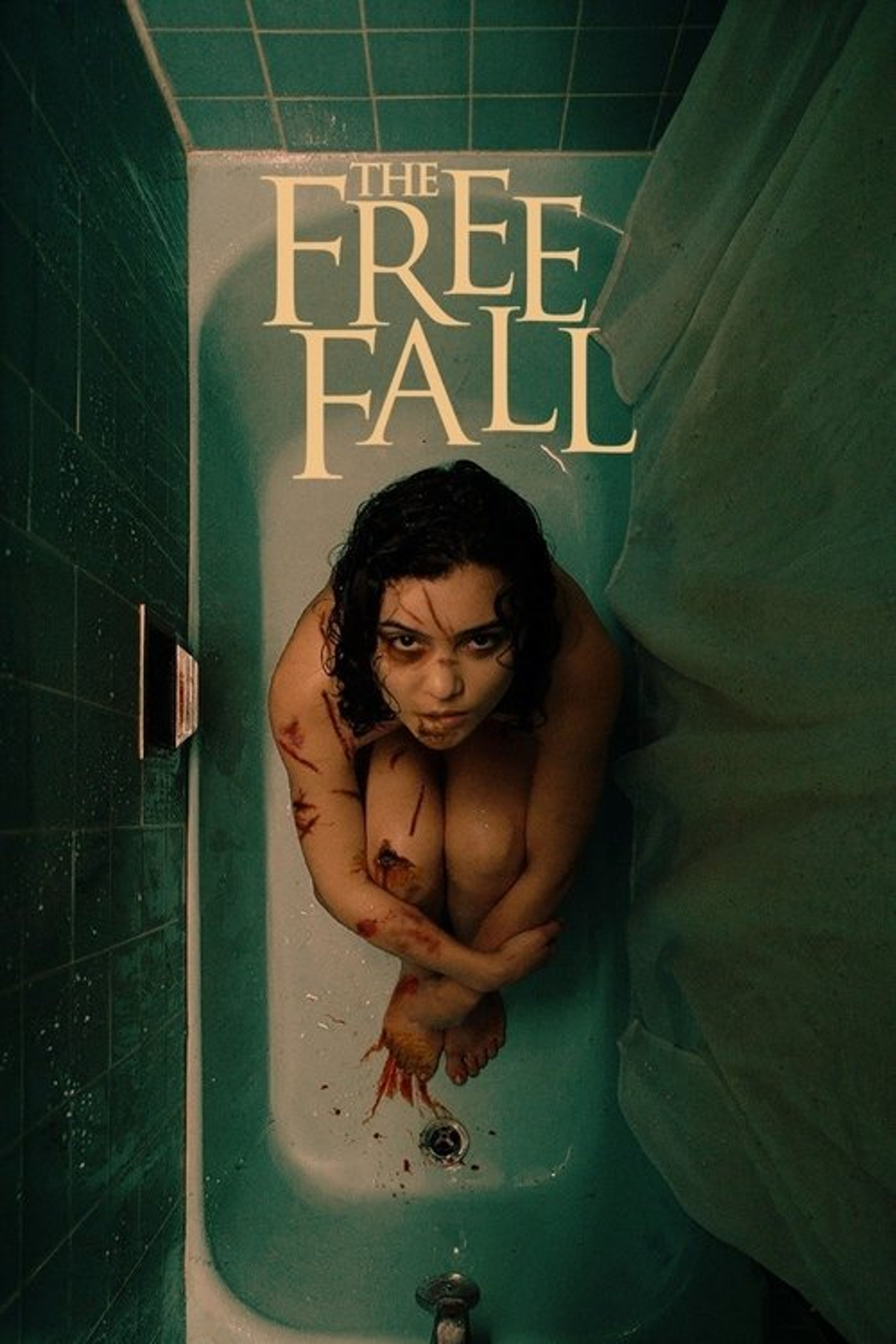 Poster image of The Free Fall