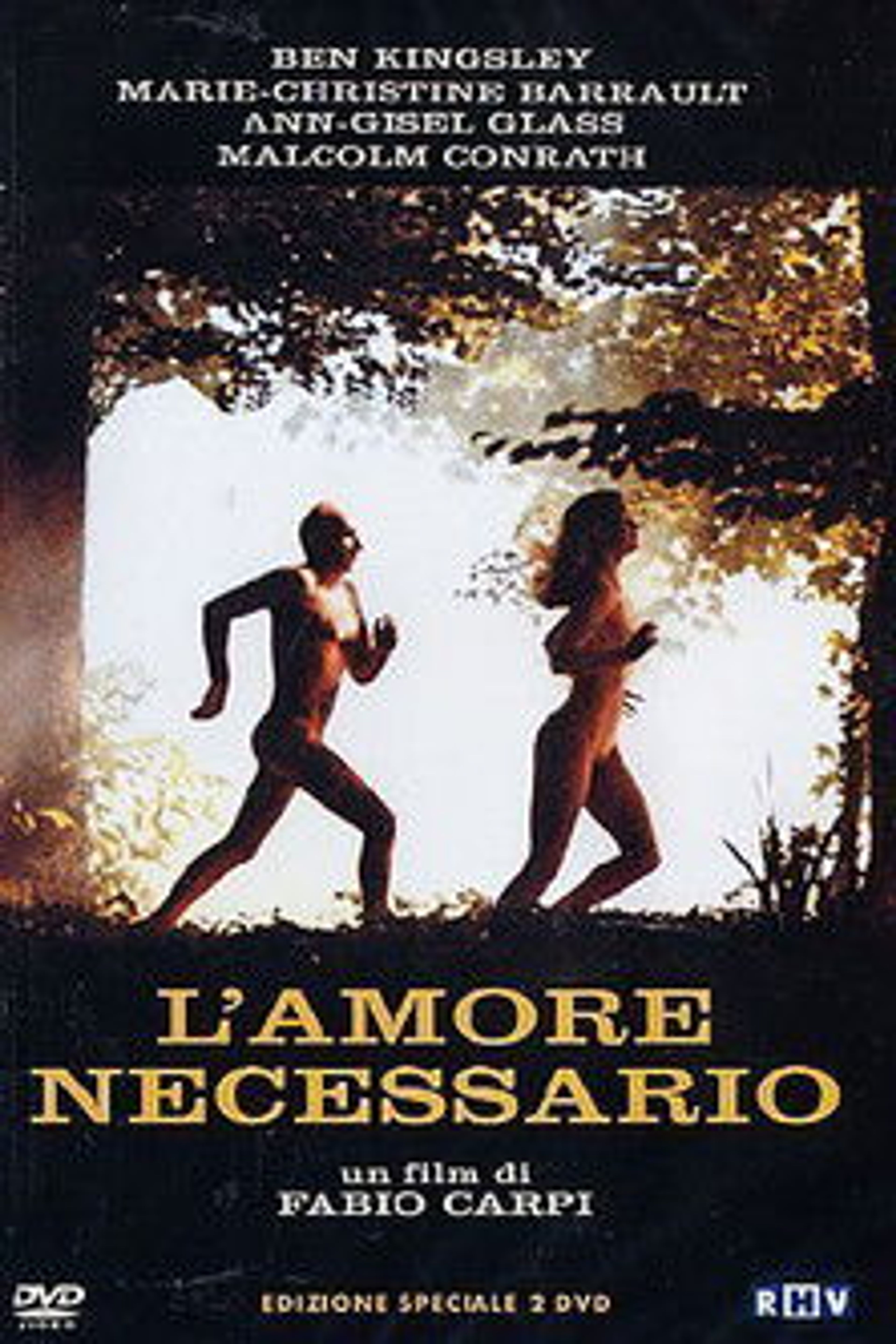 Poster image of Necessary Love