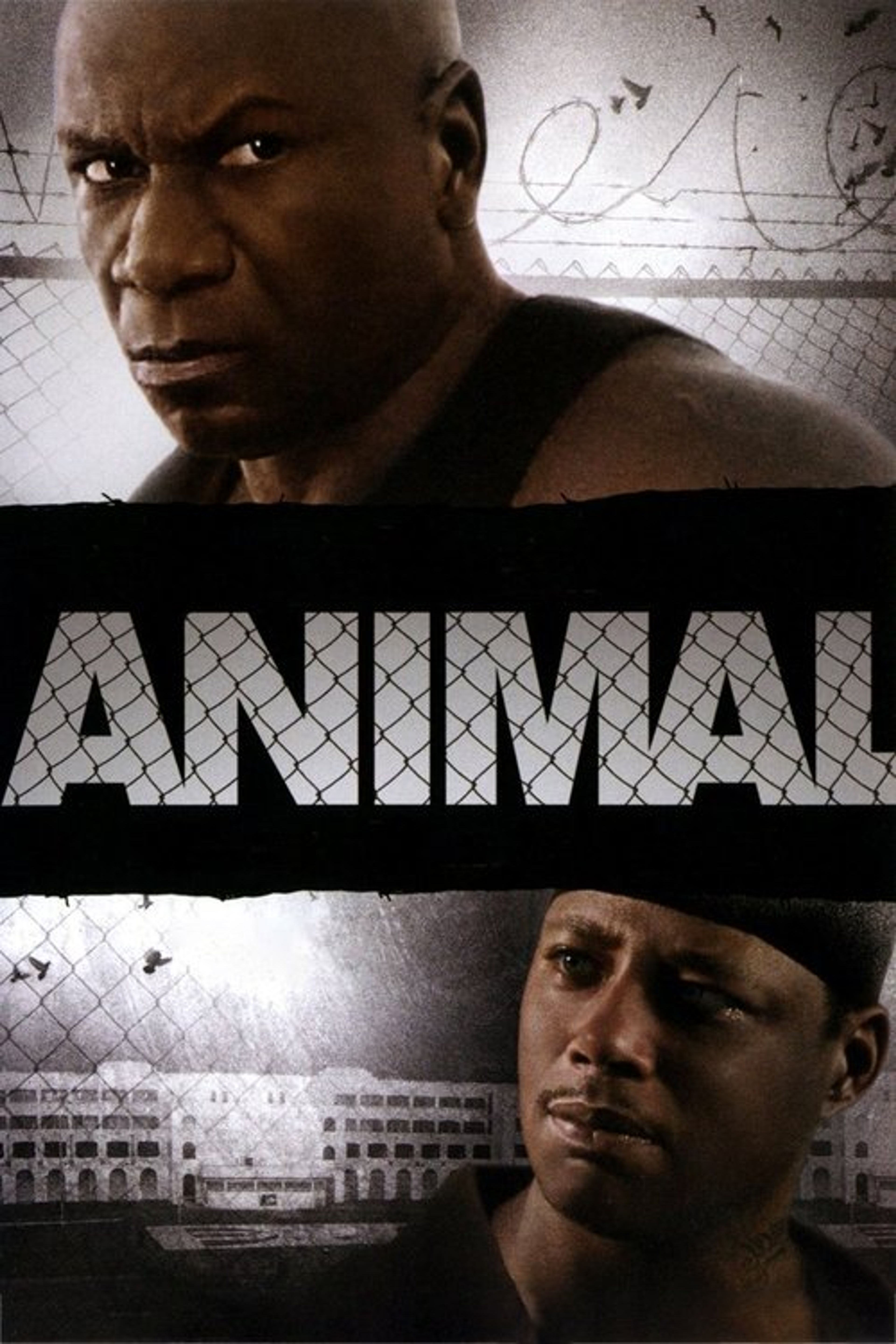 Poster image of Animal