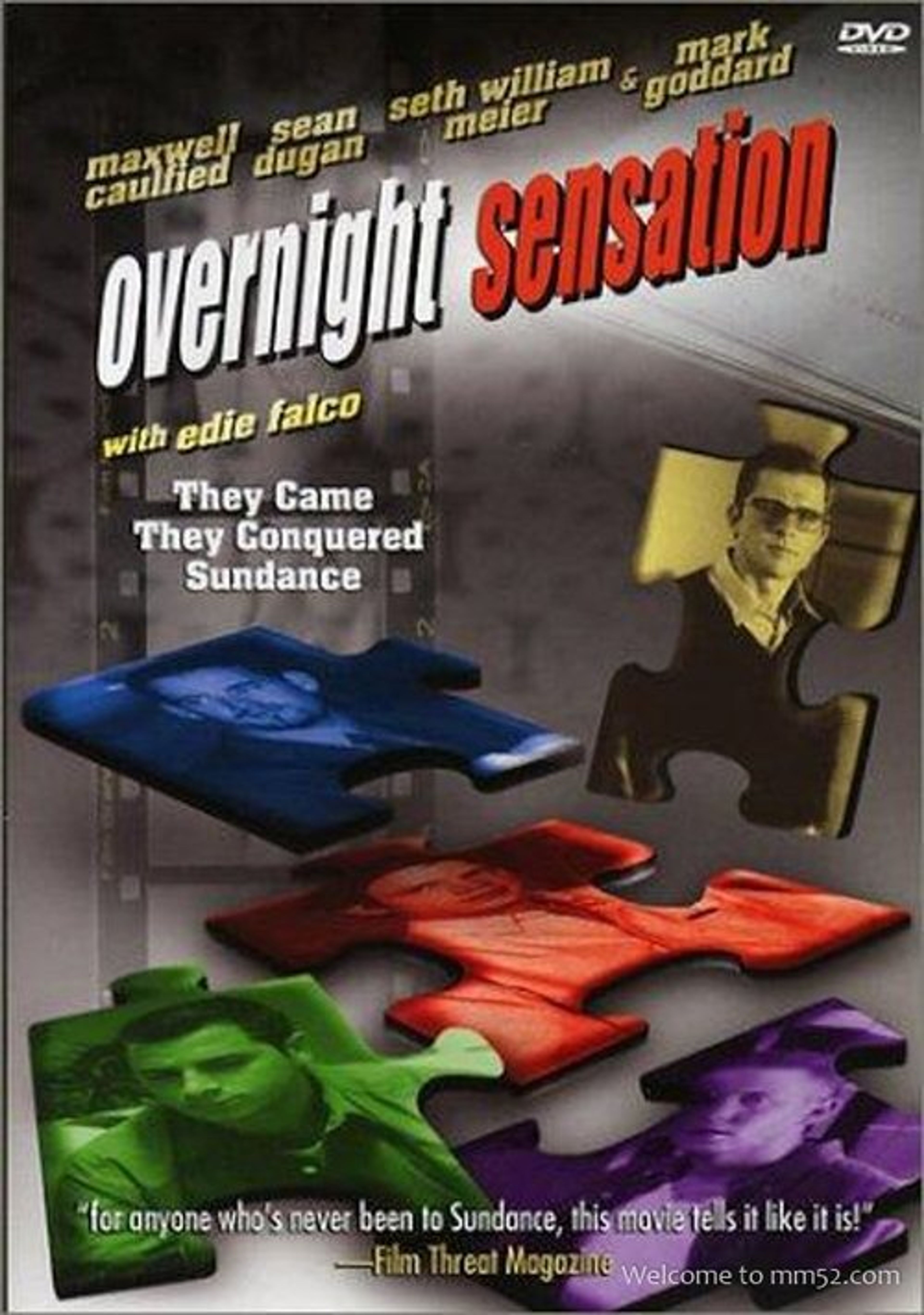 Poster image of Overnight Sensation