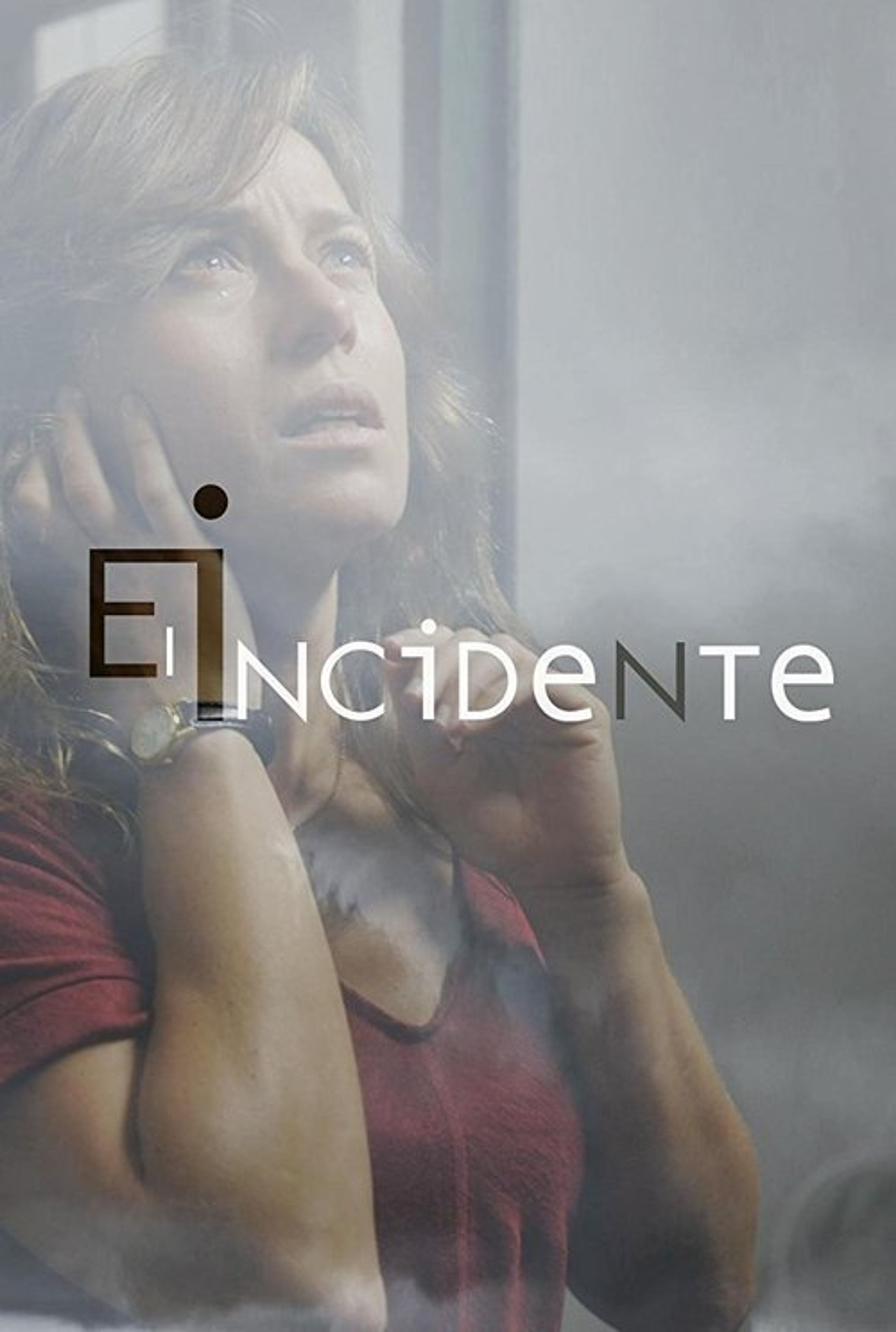 Poster image of El incidente
