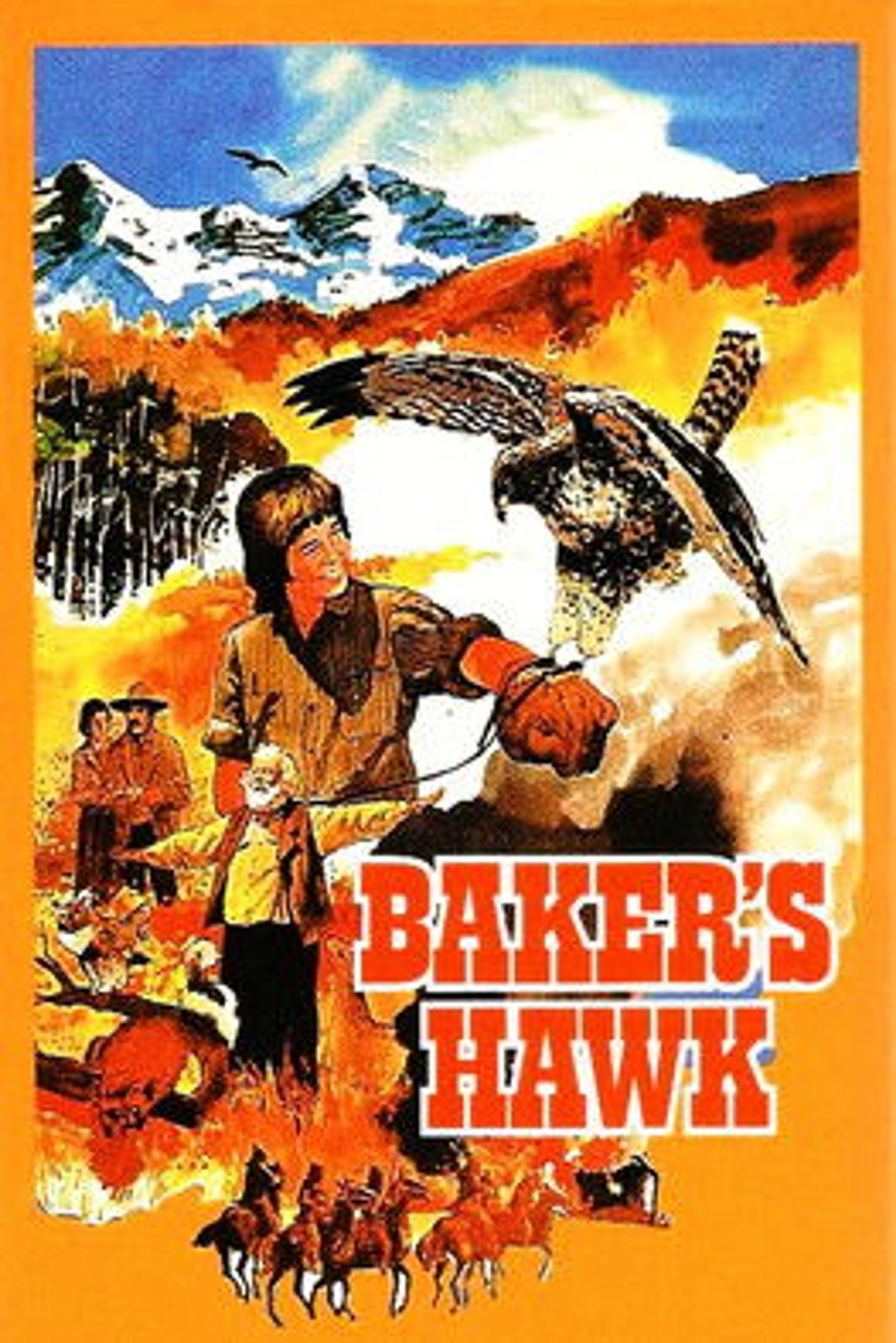 Poster image of Baker's Hawk