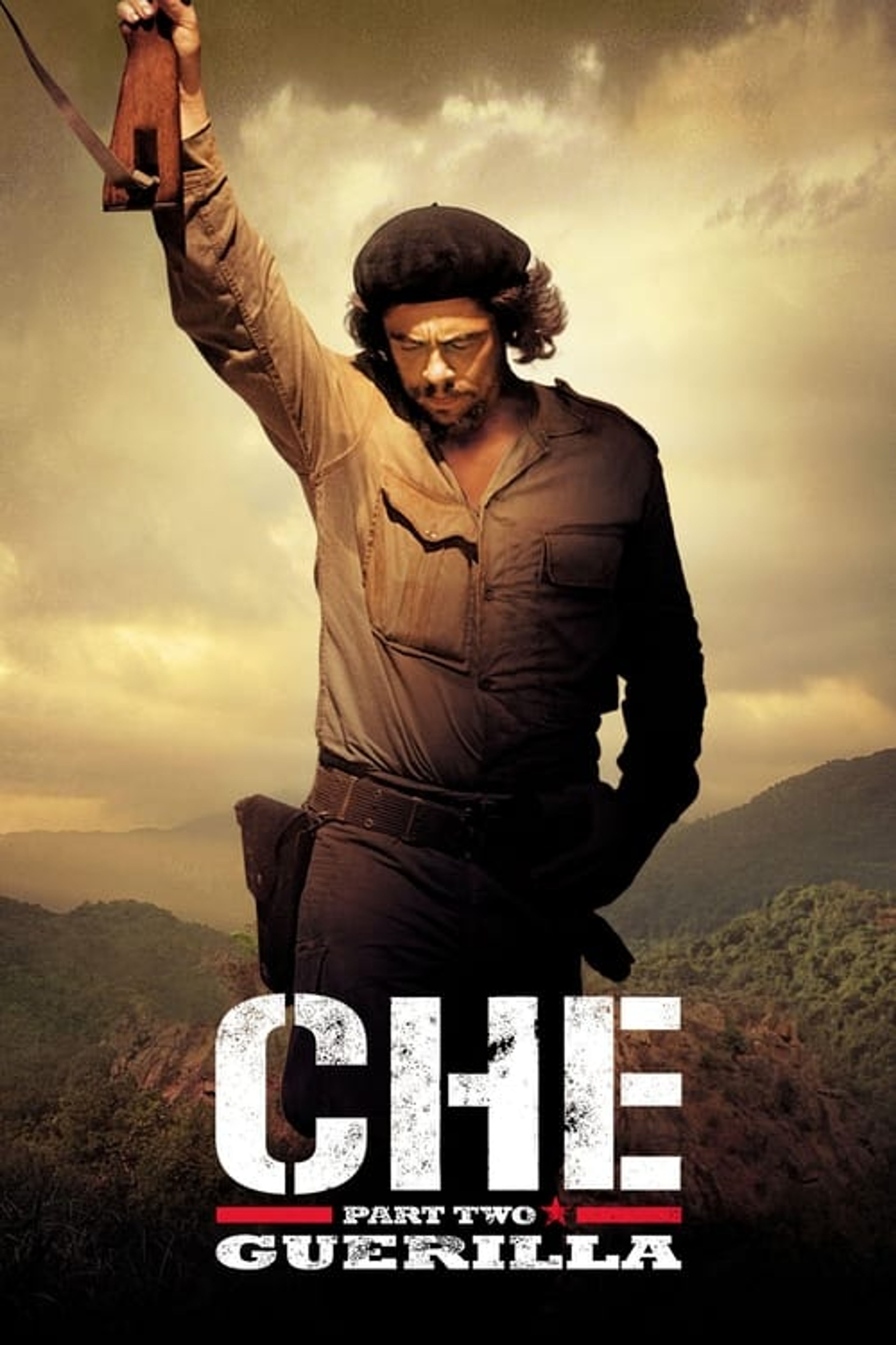 Poster image of Che: Part Two