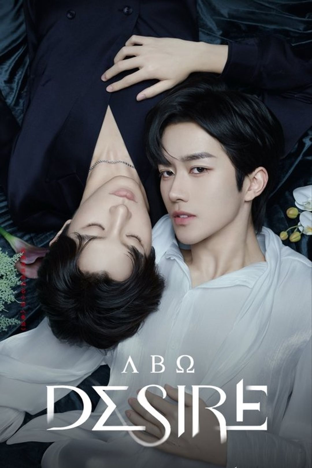 Poster image of ABO Desire