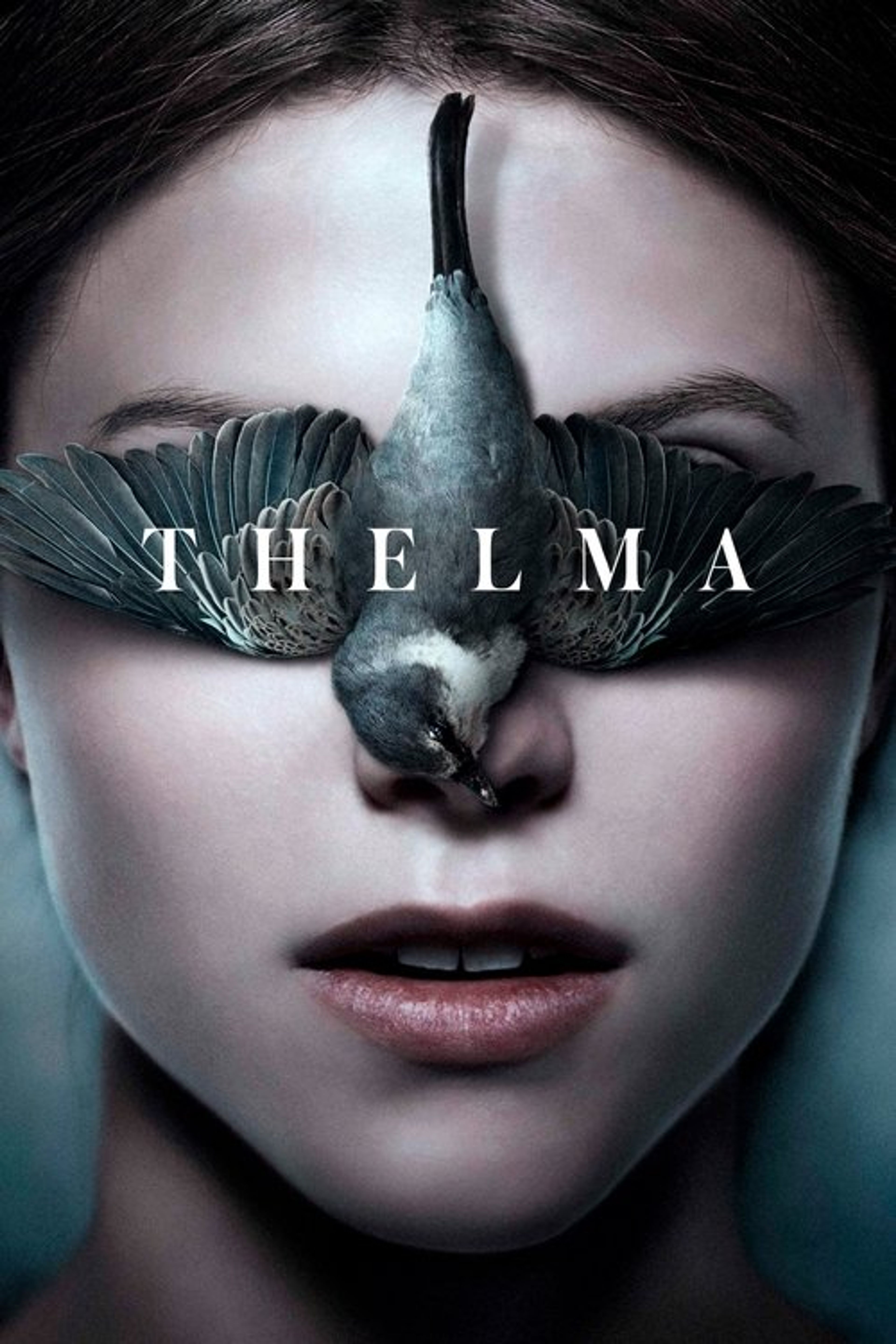 Poster image of Thelma