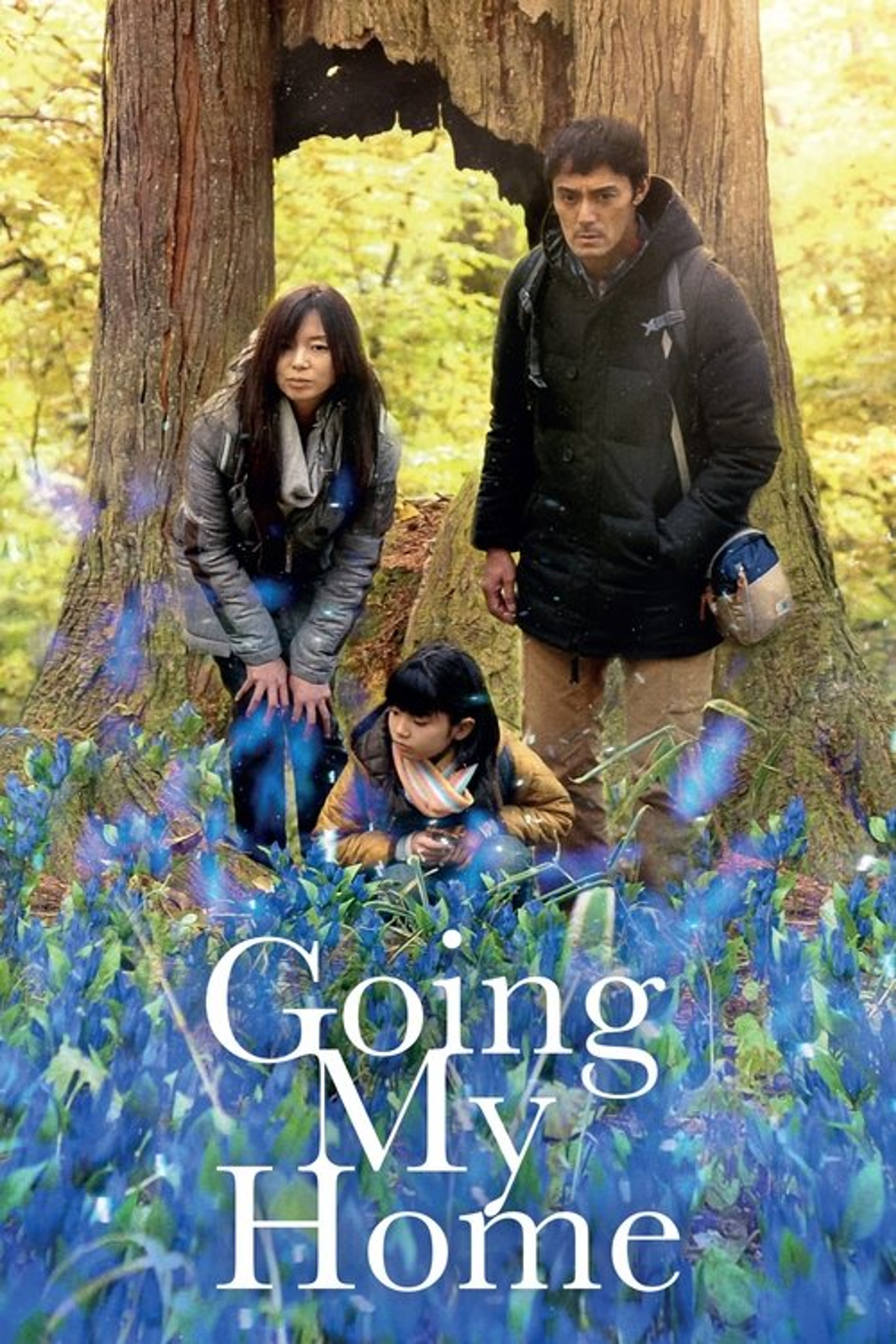 Poster image of Going My Home